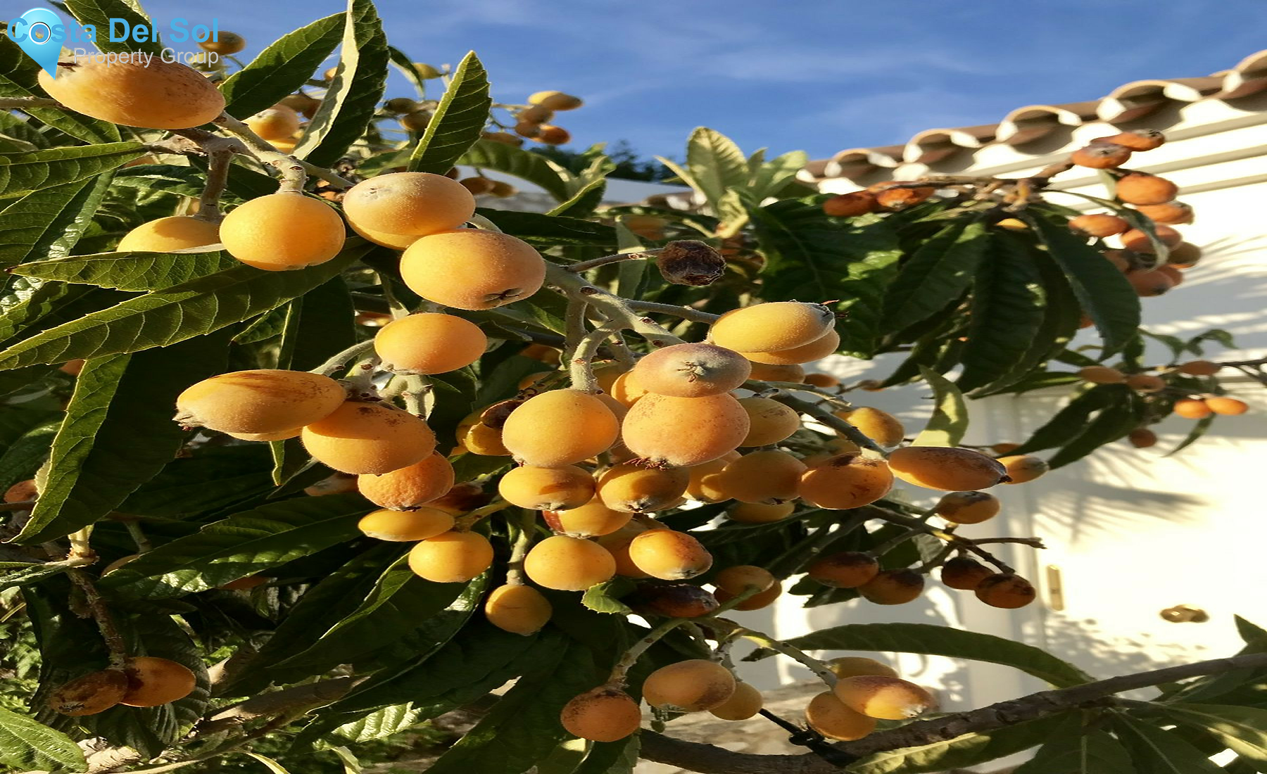 House in Mijas-1403172