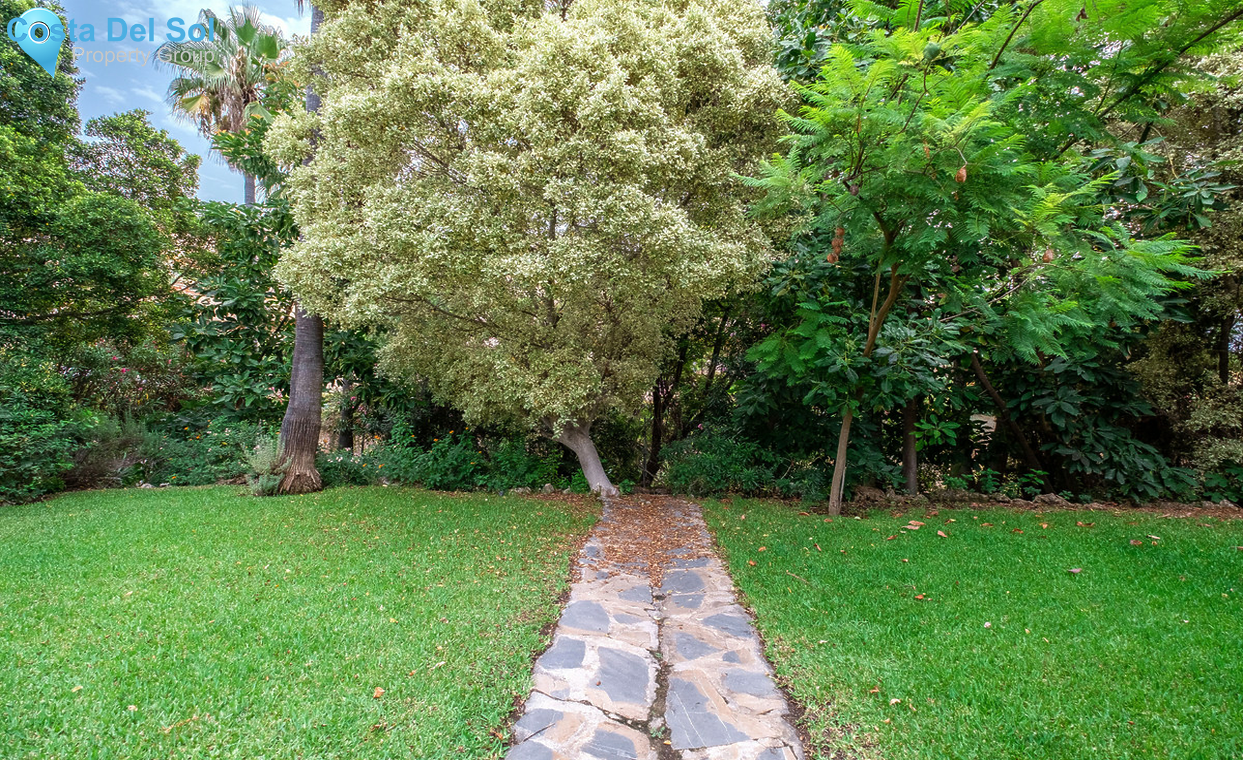 House in Nueva Andalucía-1433016