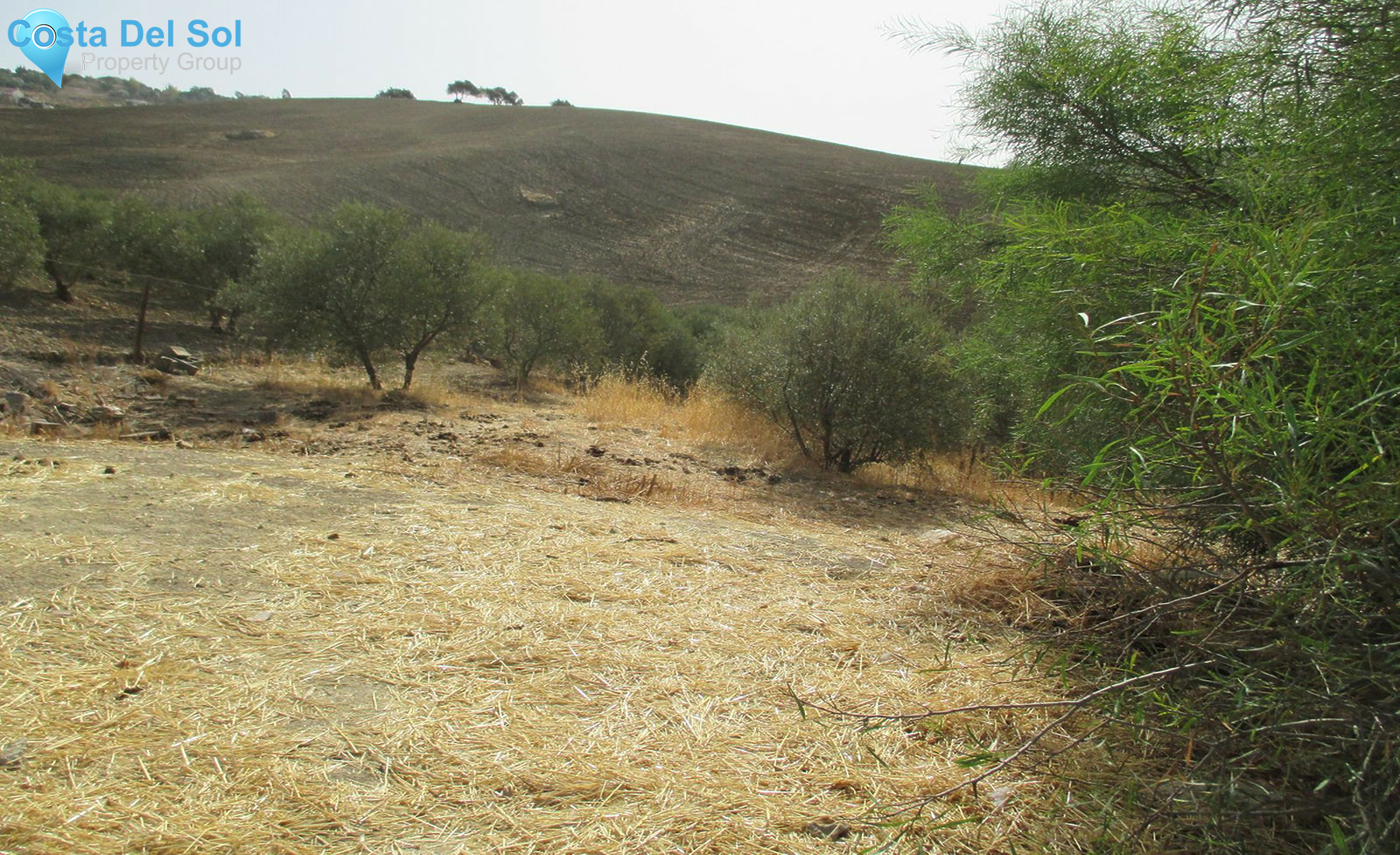 House in Villanueva De La Concepcion-1455326