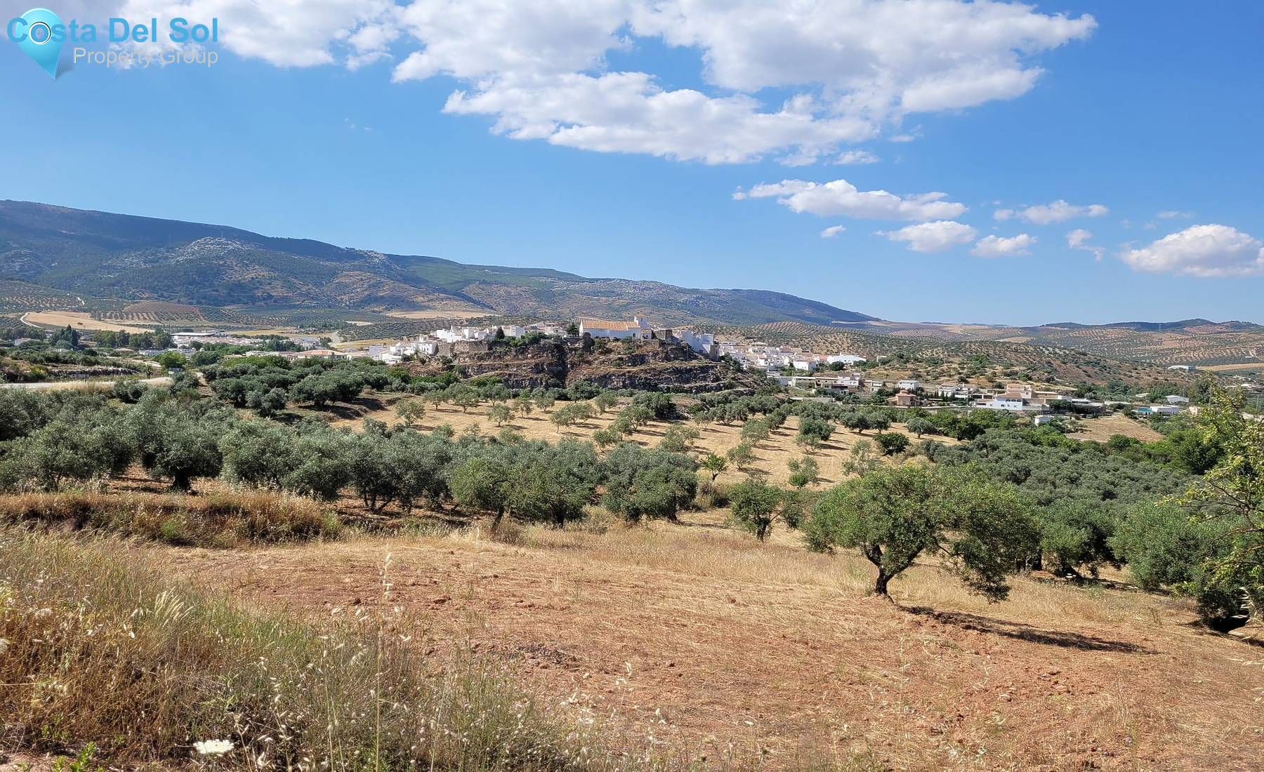 Olive Grove in El Burgo-1228763
