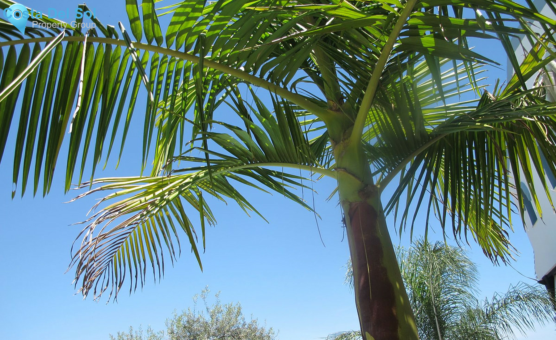 Semi-Detached House in Alhaurín de la Torre-1438856