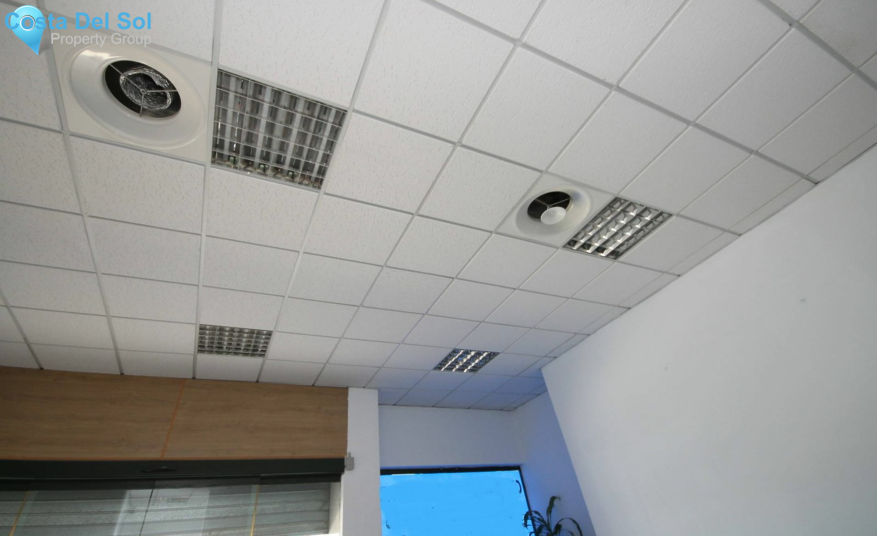 Business in Teatinos-1229674