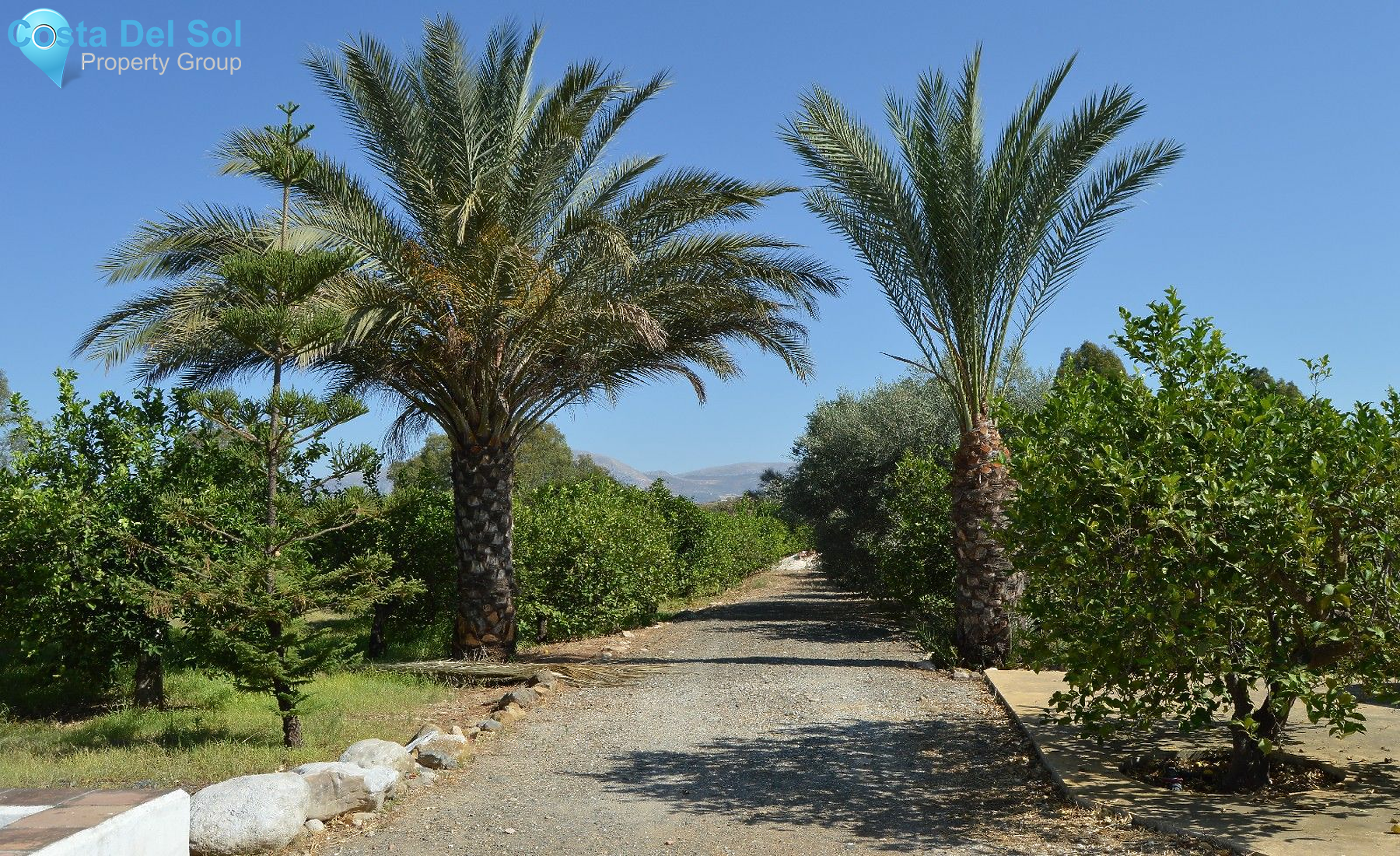 Detached Villa in Alora-1228614