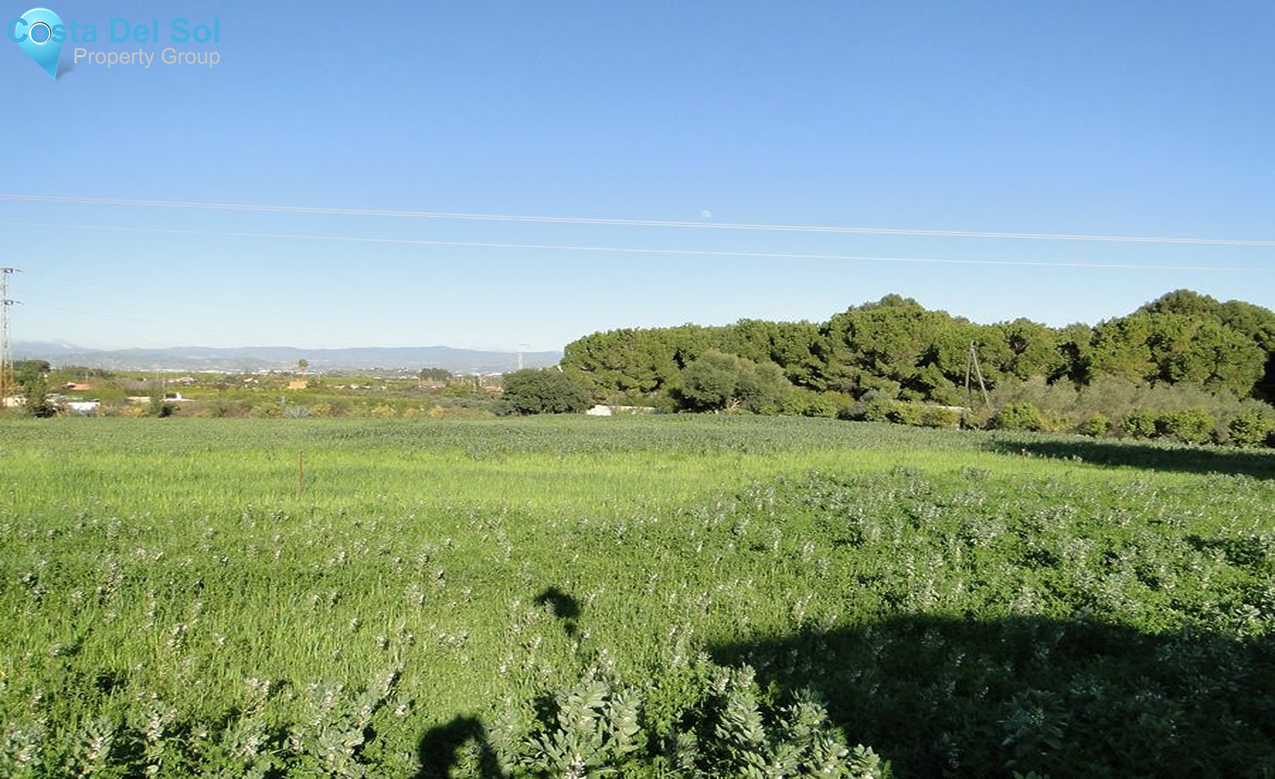 Finca - Cortijo in Alhaurín el Grande-1432666