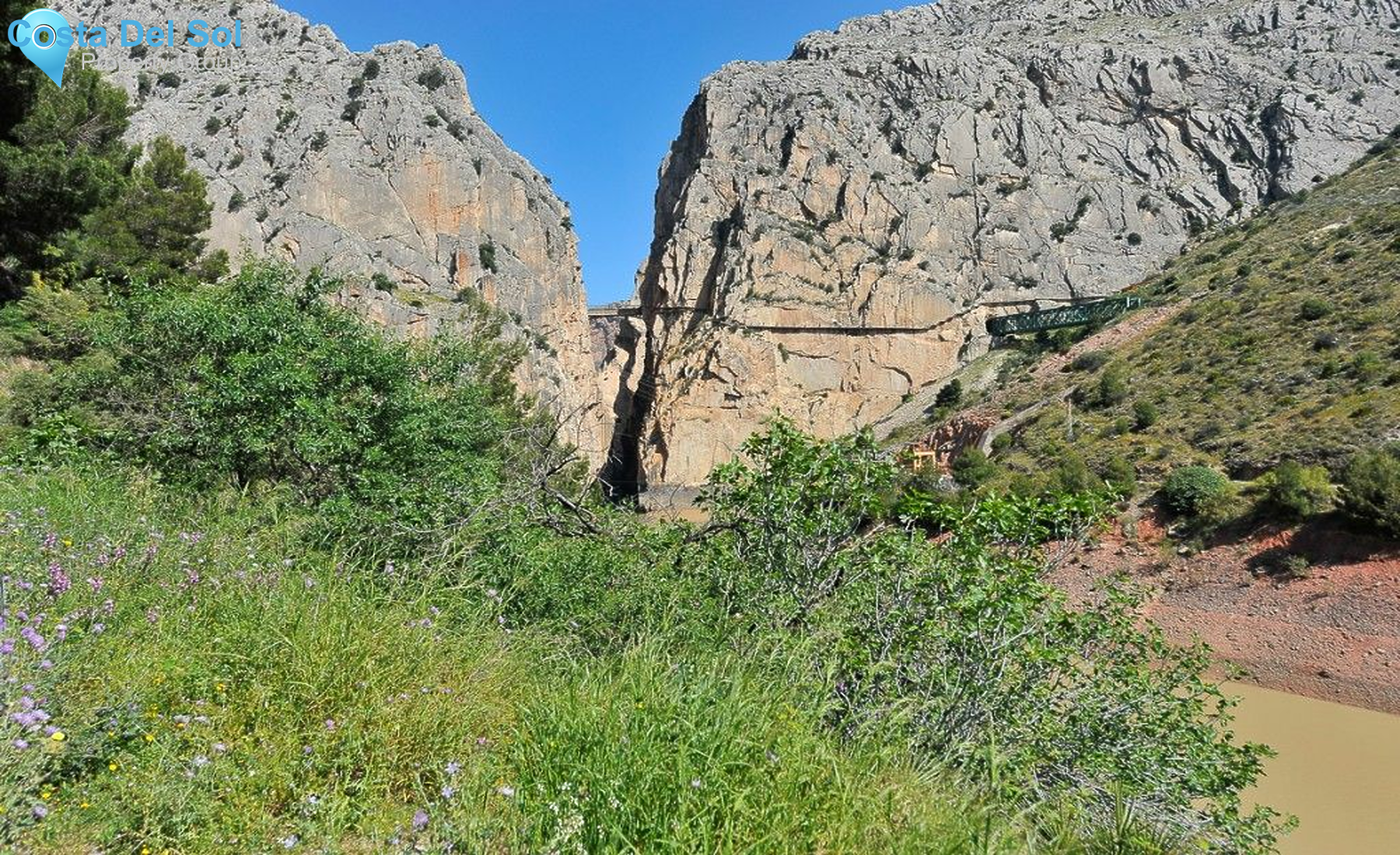 Finca - Cortijo in Ardales-1189272