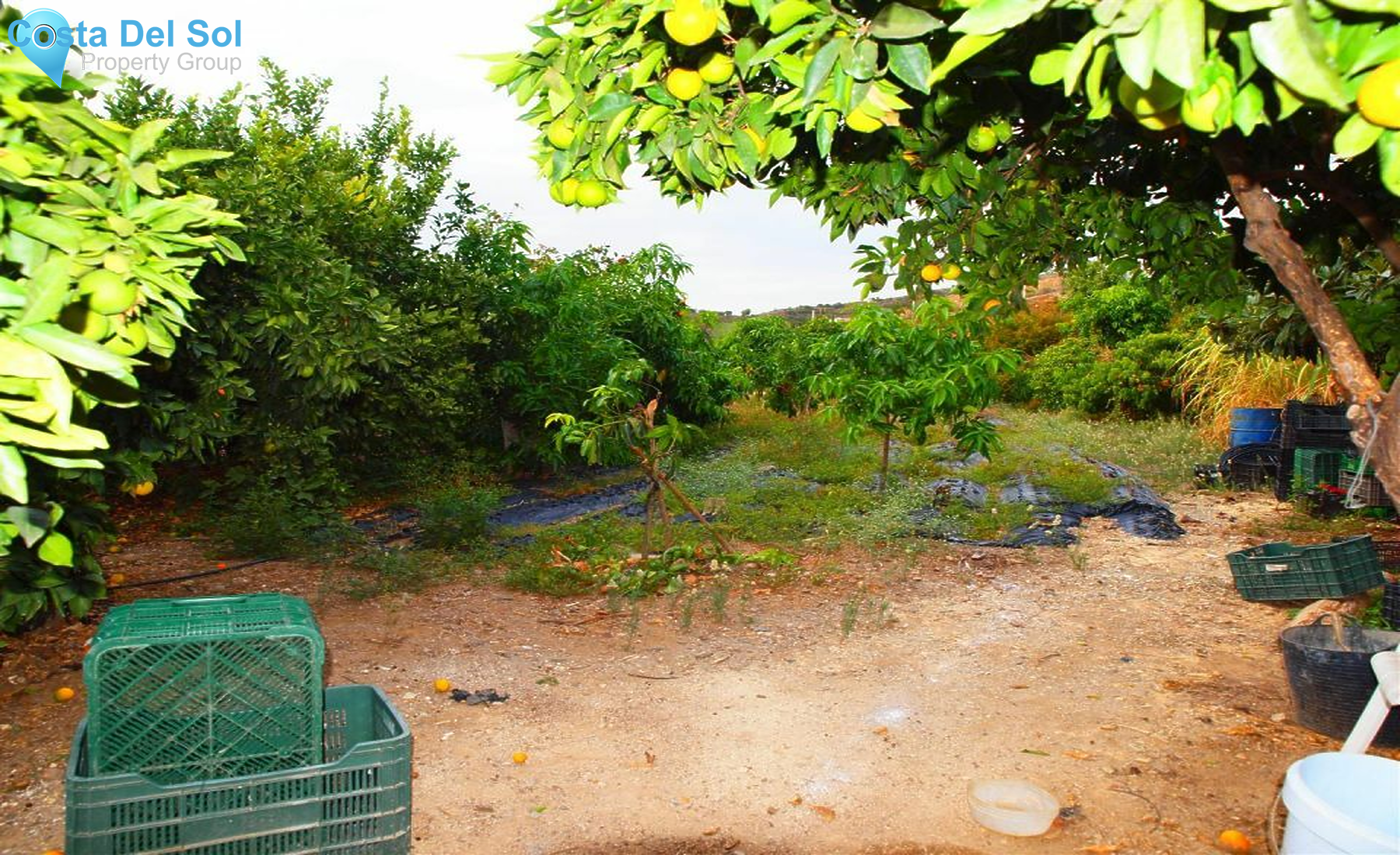 Finca - Cortijo in Cajiz-1400470