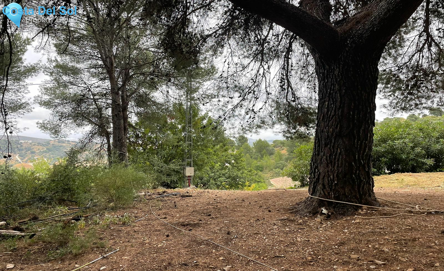 Finca - Cortijo in Monda-1395345