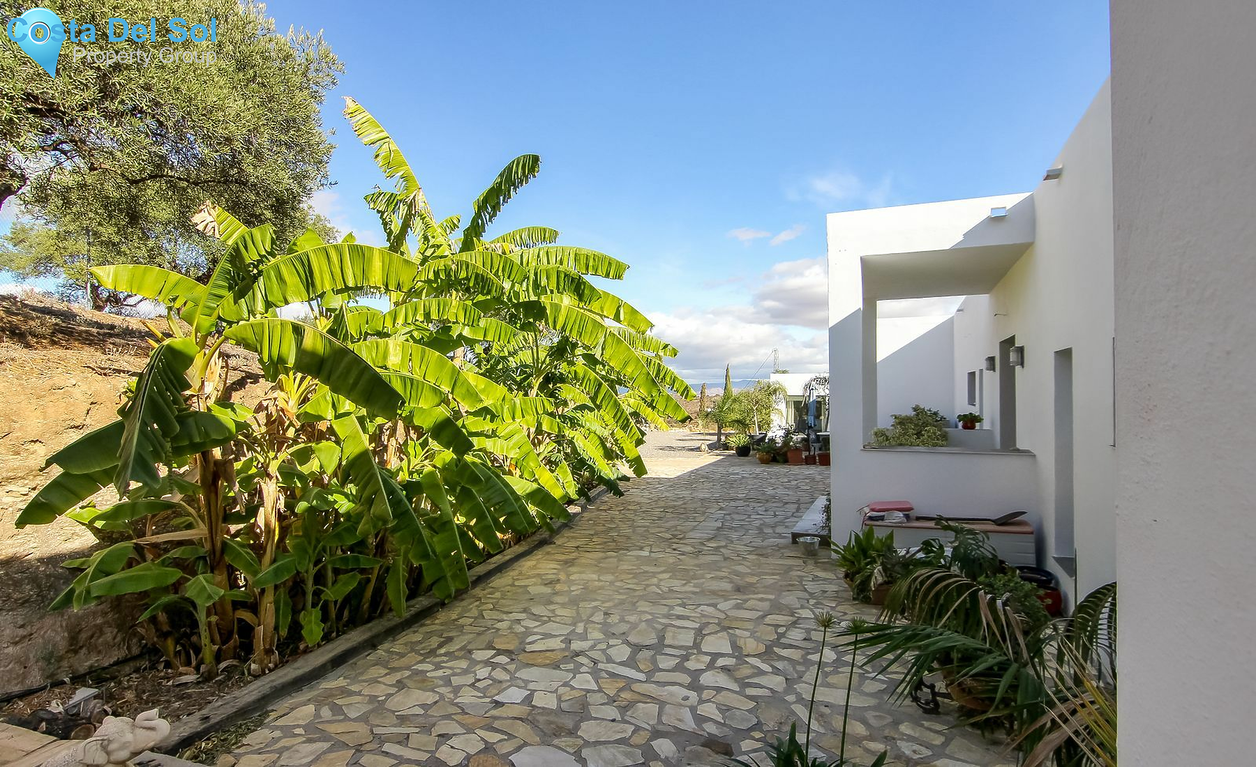 Finca - Cortijo in Monda-1547676