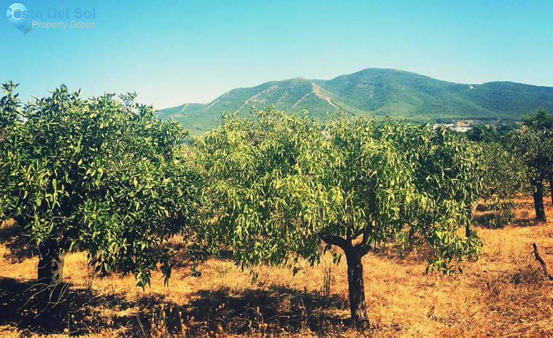 Bed and Breakfast in Alhaurín el Grande-691968