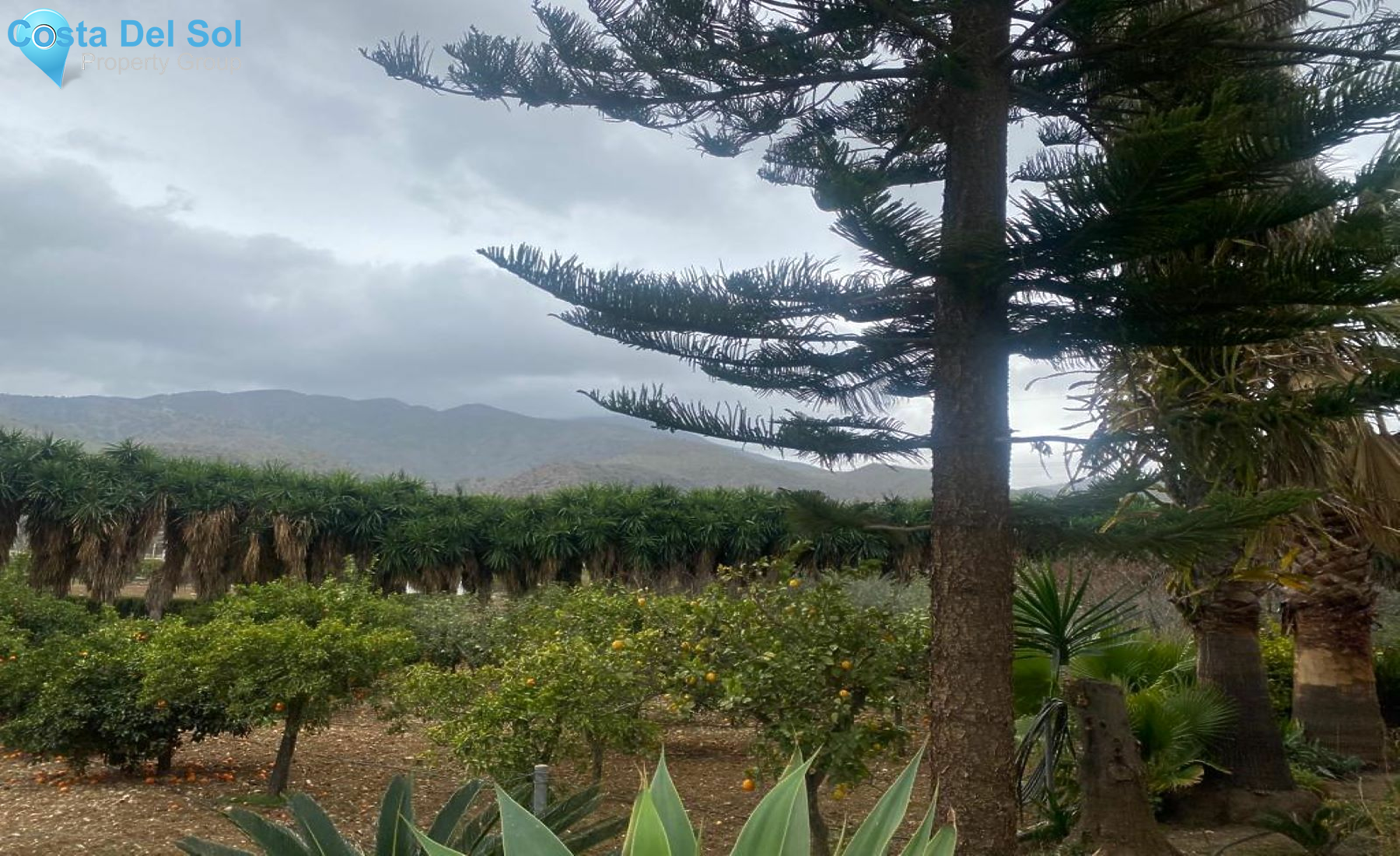 Detached Villa in Alora-1202138