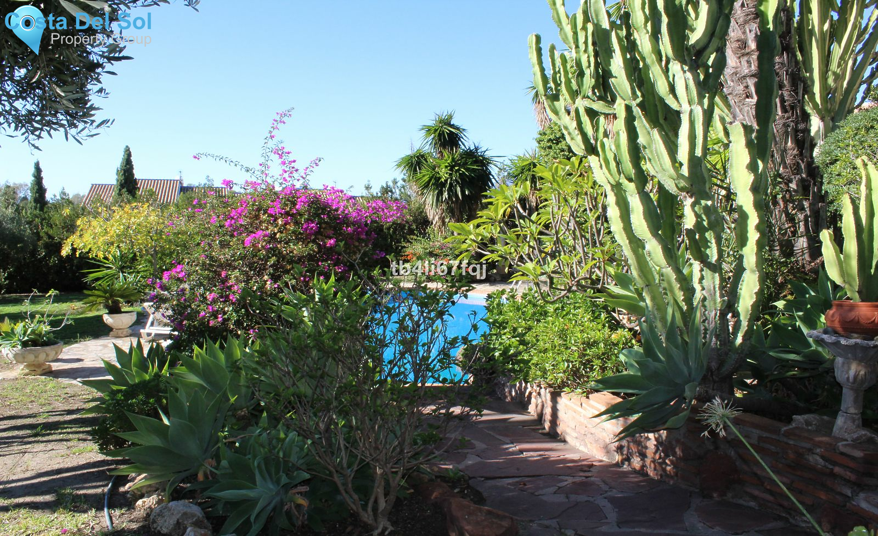 Detached Villa in Atalaya-1222444