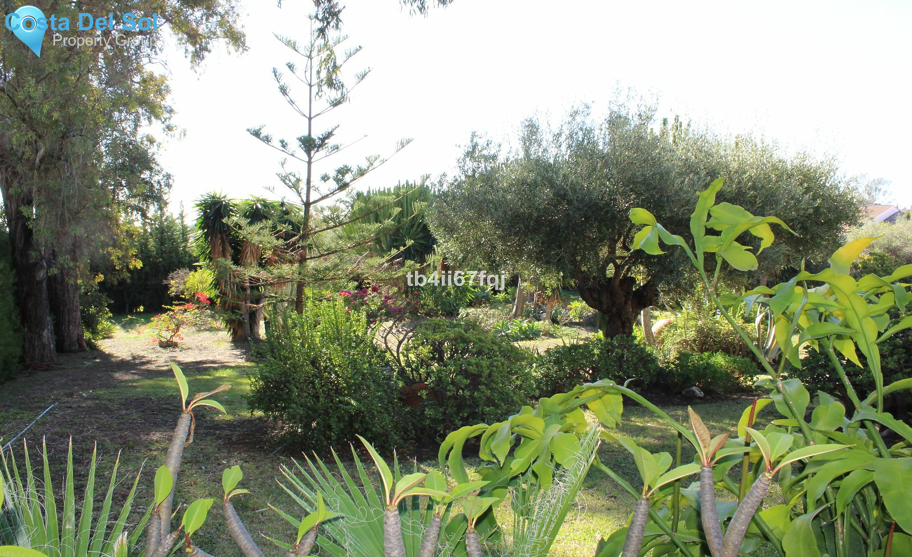Detached Villa in Atalaya-1222447