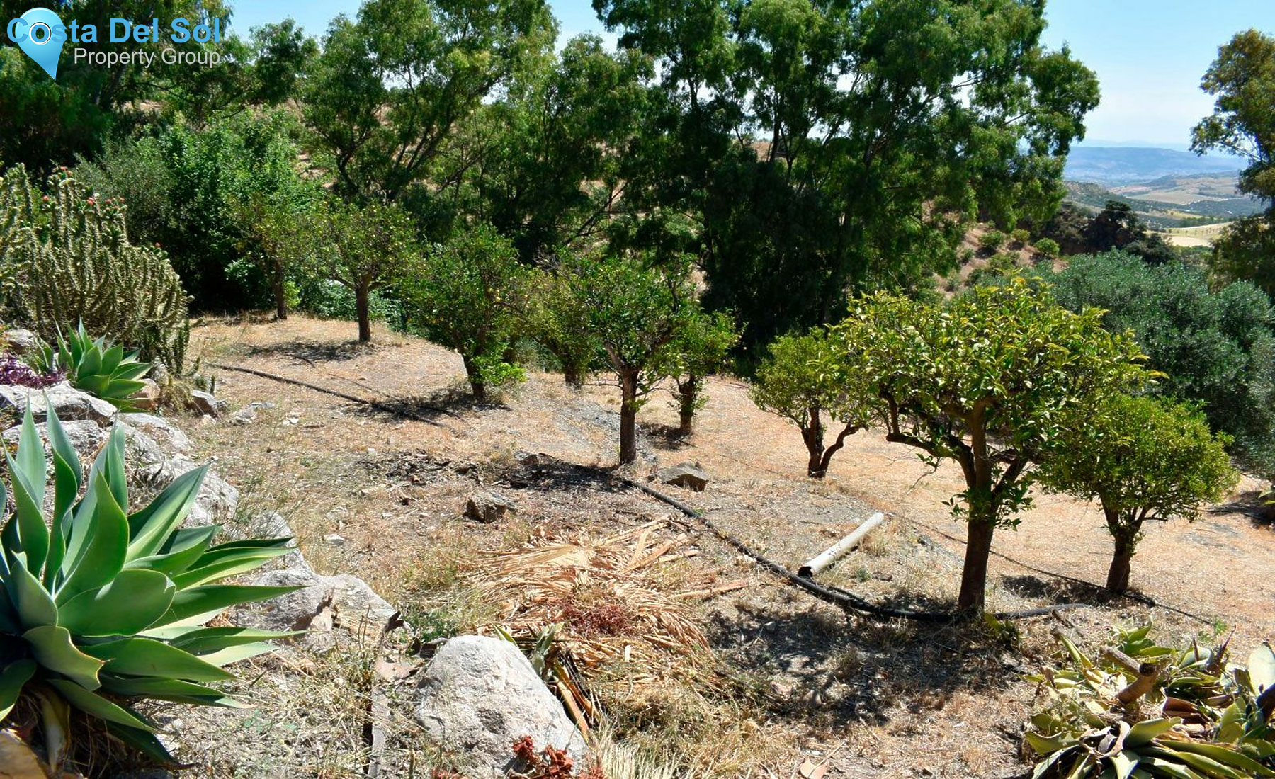 Detached Villa in Casarabonela-1157950