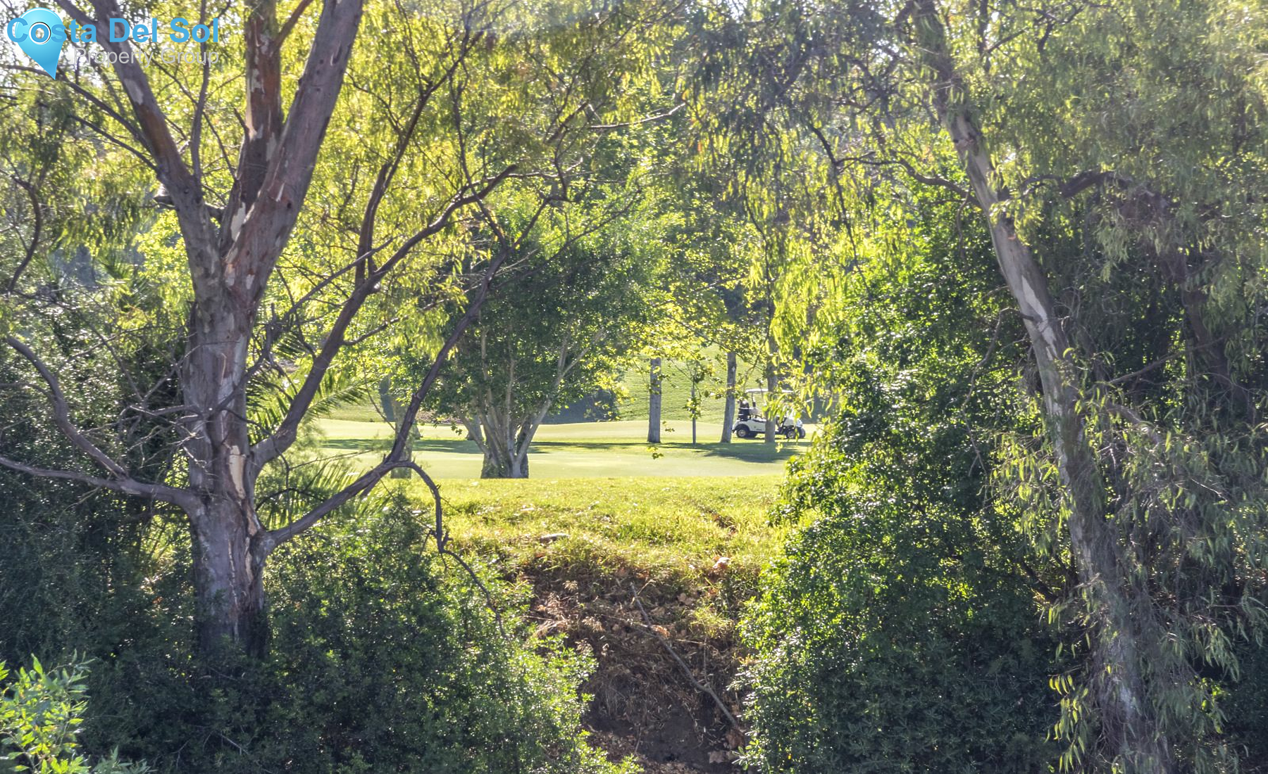 Detached Villa in Guadalmina Baja-1155364