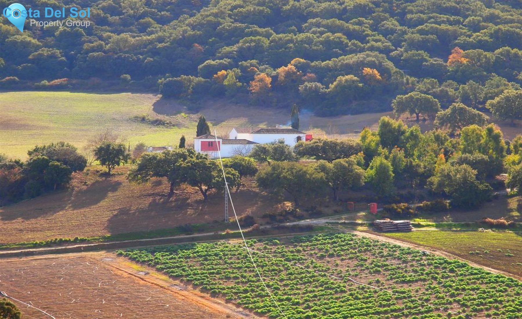 Finca - Cortijo in Alcaucín-1155237