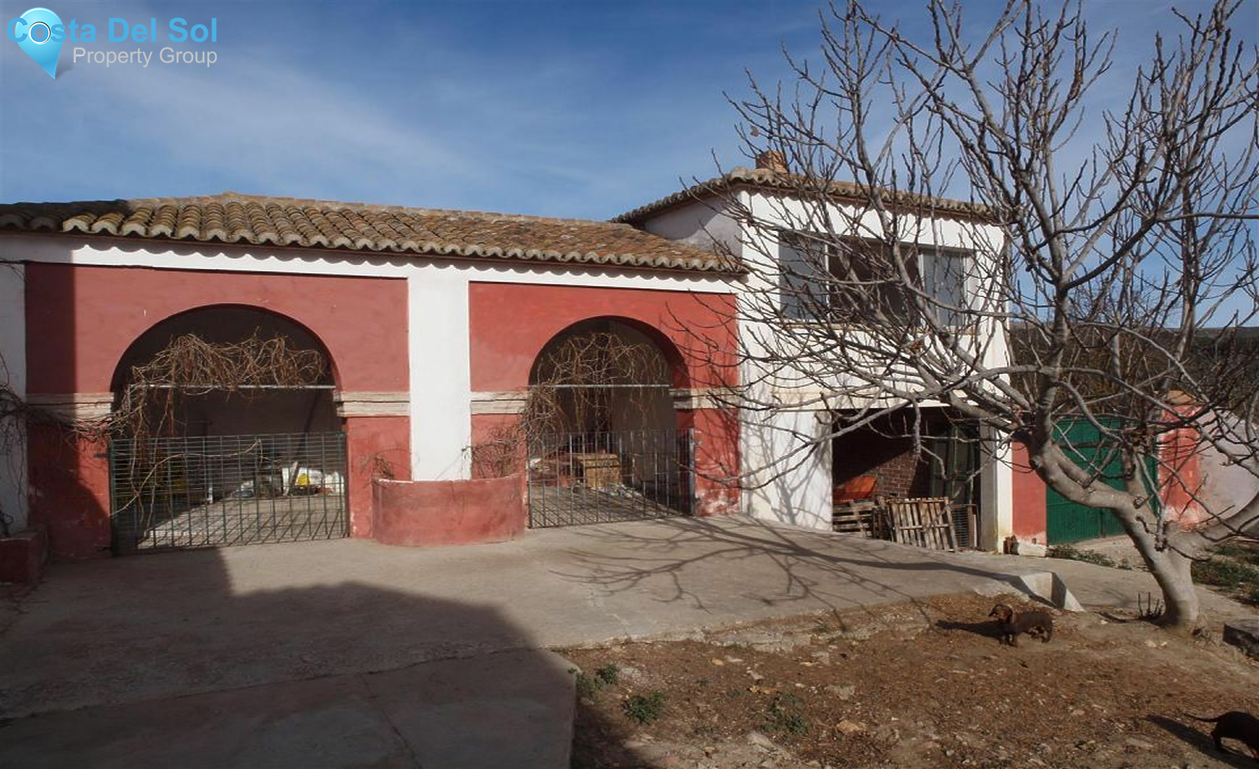Finca - Cortijo in Alcaucín-1155235