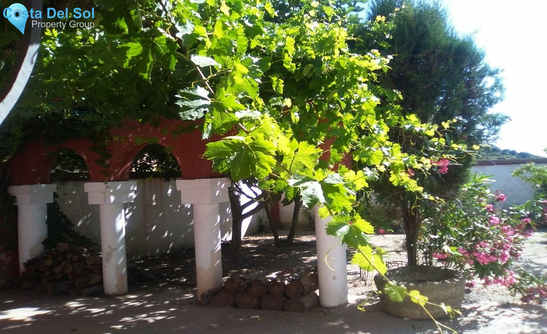Finca - Cortijo in Alcaucín-1534924