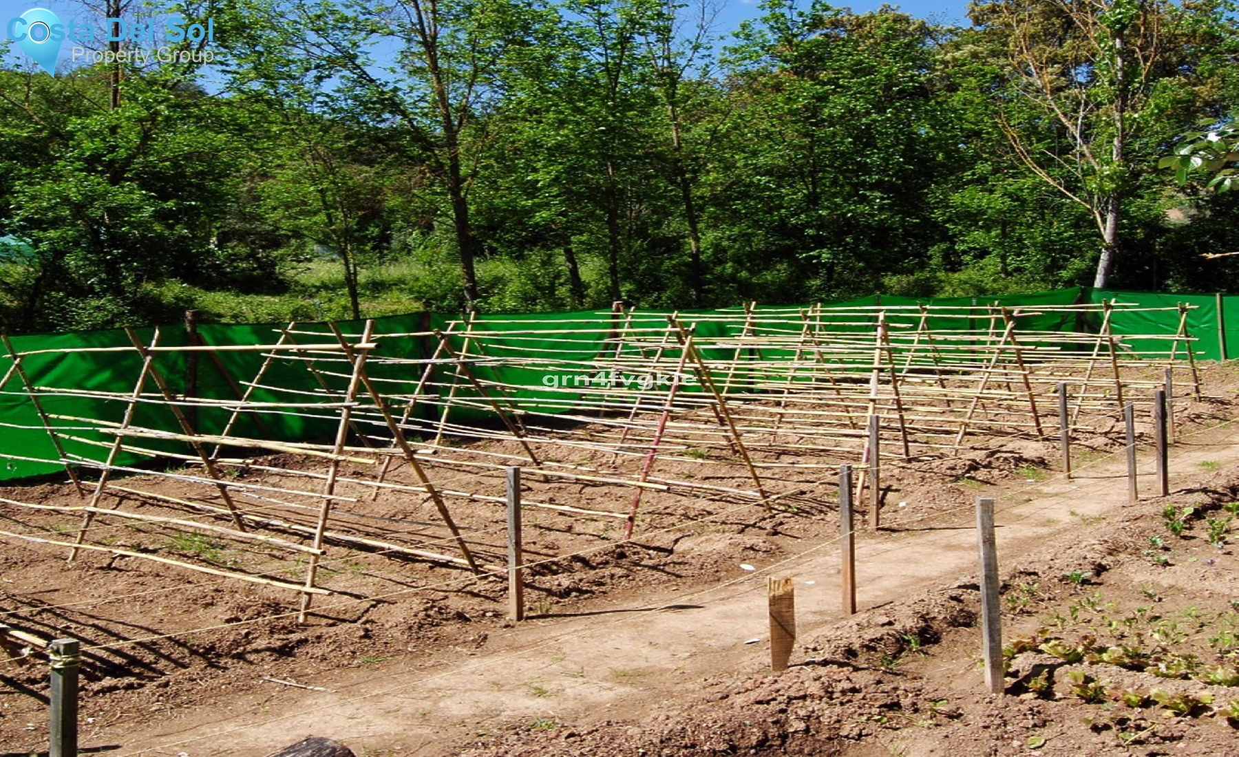 Finca - Cortijo in Archidona-1184488