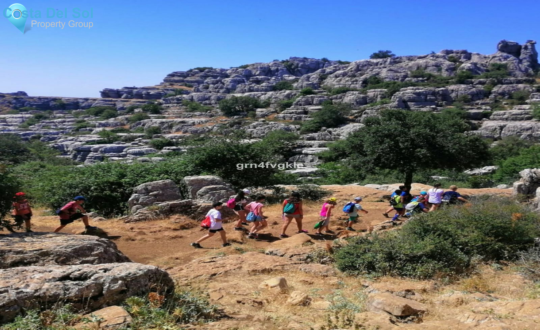 Finca - Cortijo in Archidona-1184482