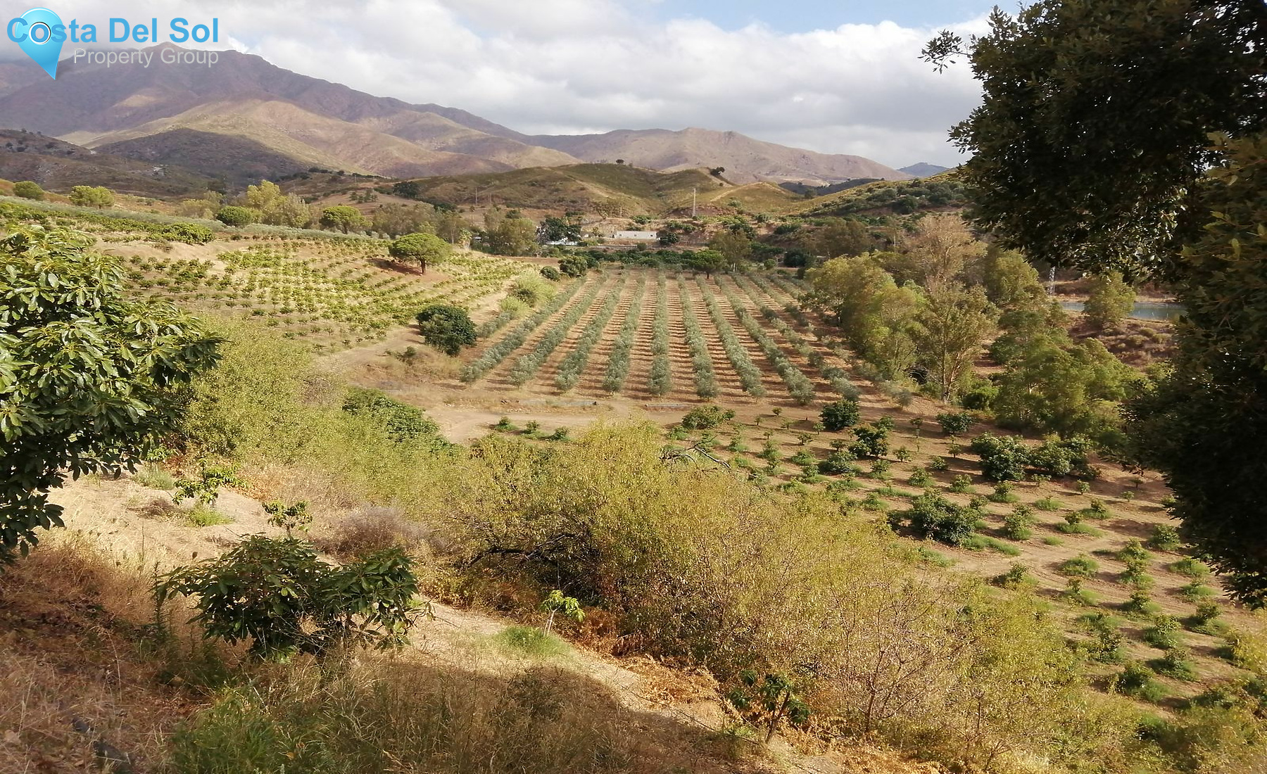 Finca - Cortijo in Campo Mijas