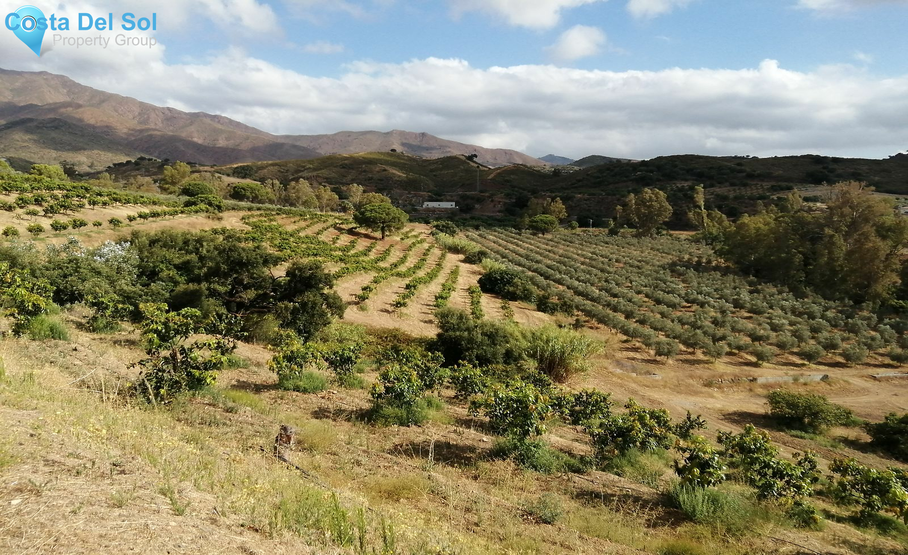 Finca - Cortijo in Campo Mijas-1490870