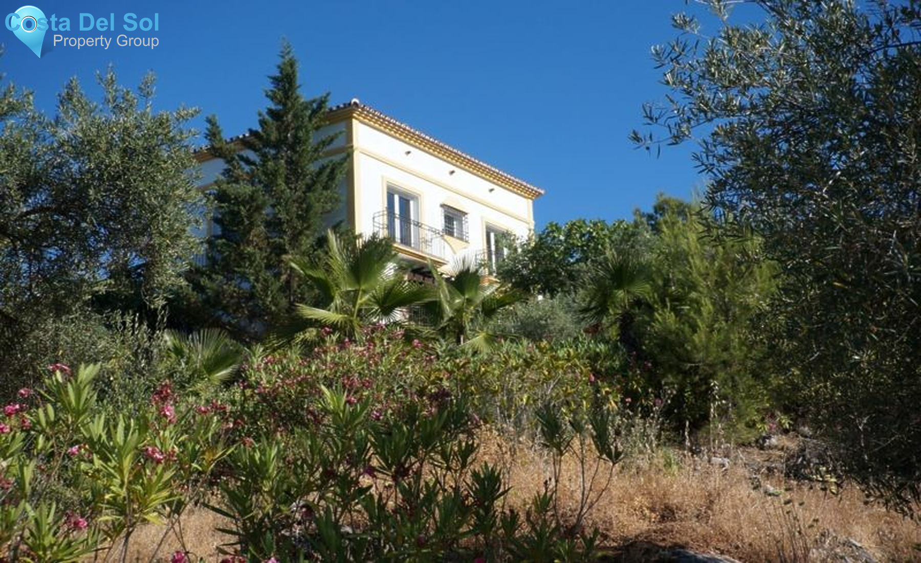Finca - Cortijo in Monda-1395795
