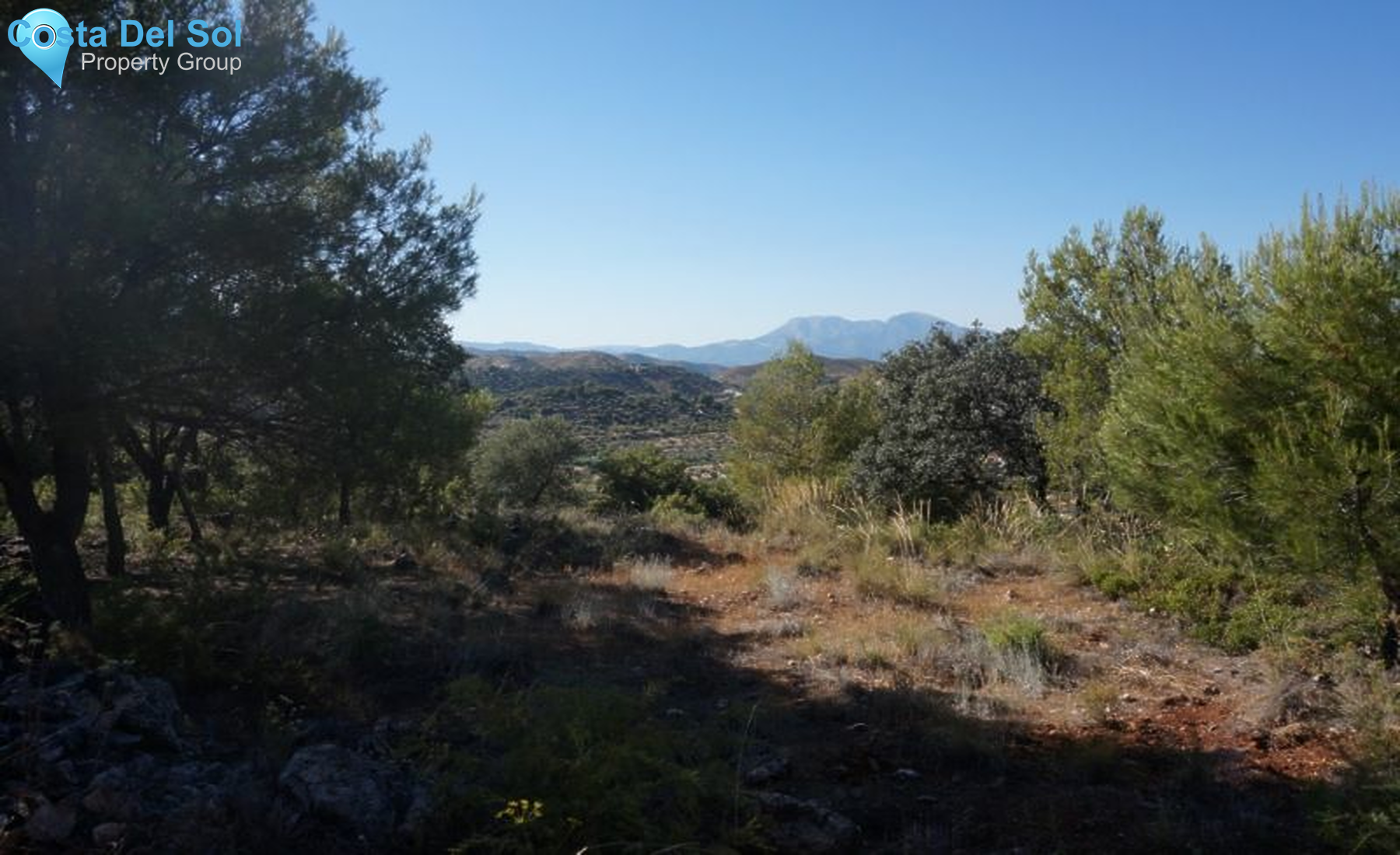 Finca - Cortijo in Monda-1395798
