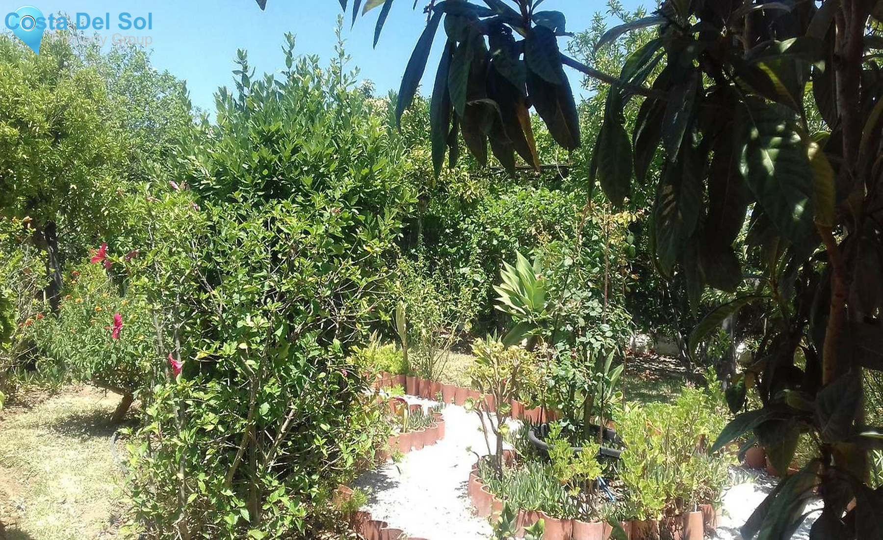 House in Alhaurín de la Torre