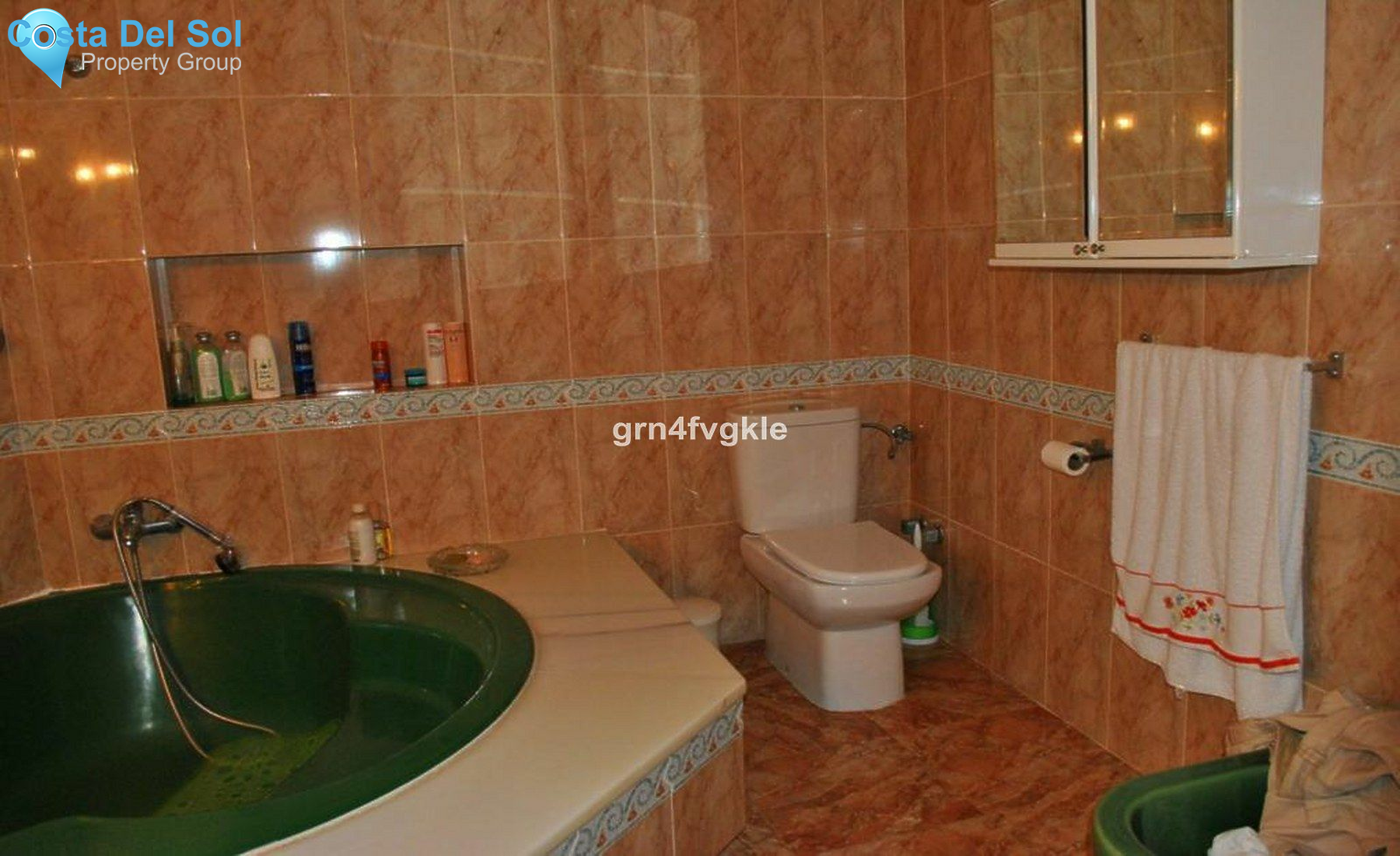 Detached Villa in Churriana-1184079