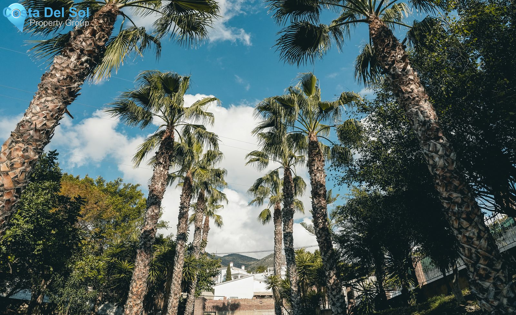 Detached Villa in La Capellania-1126170