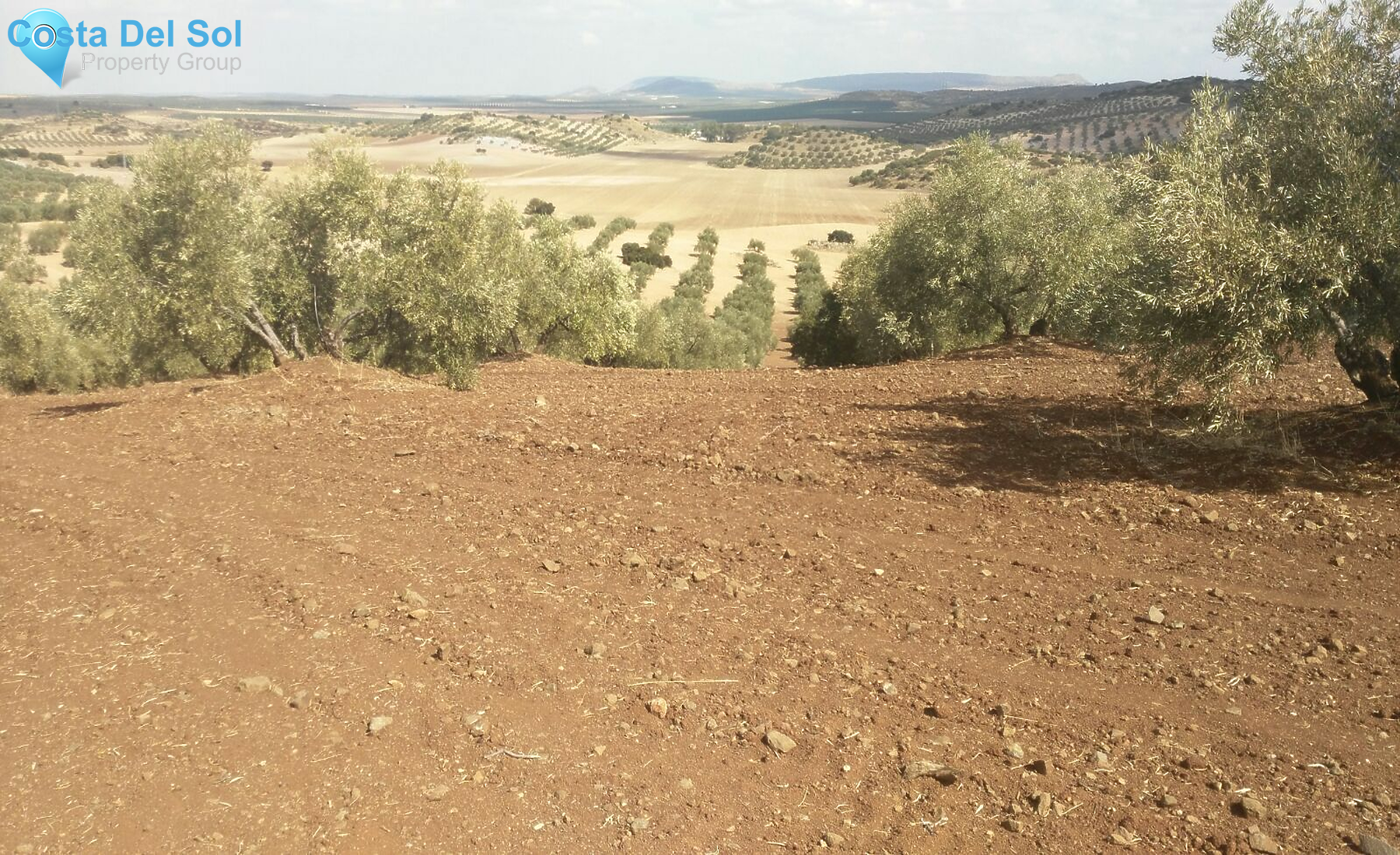 Finca - Cortijo in Antequera-1232198