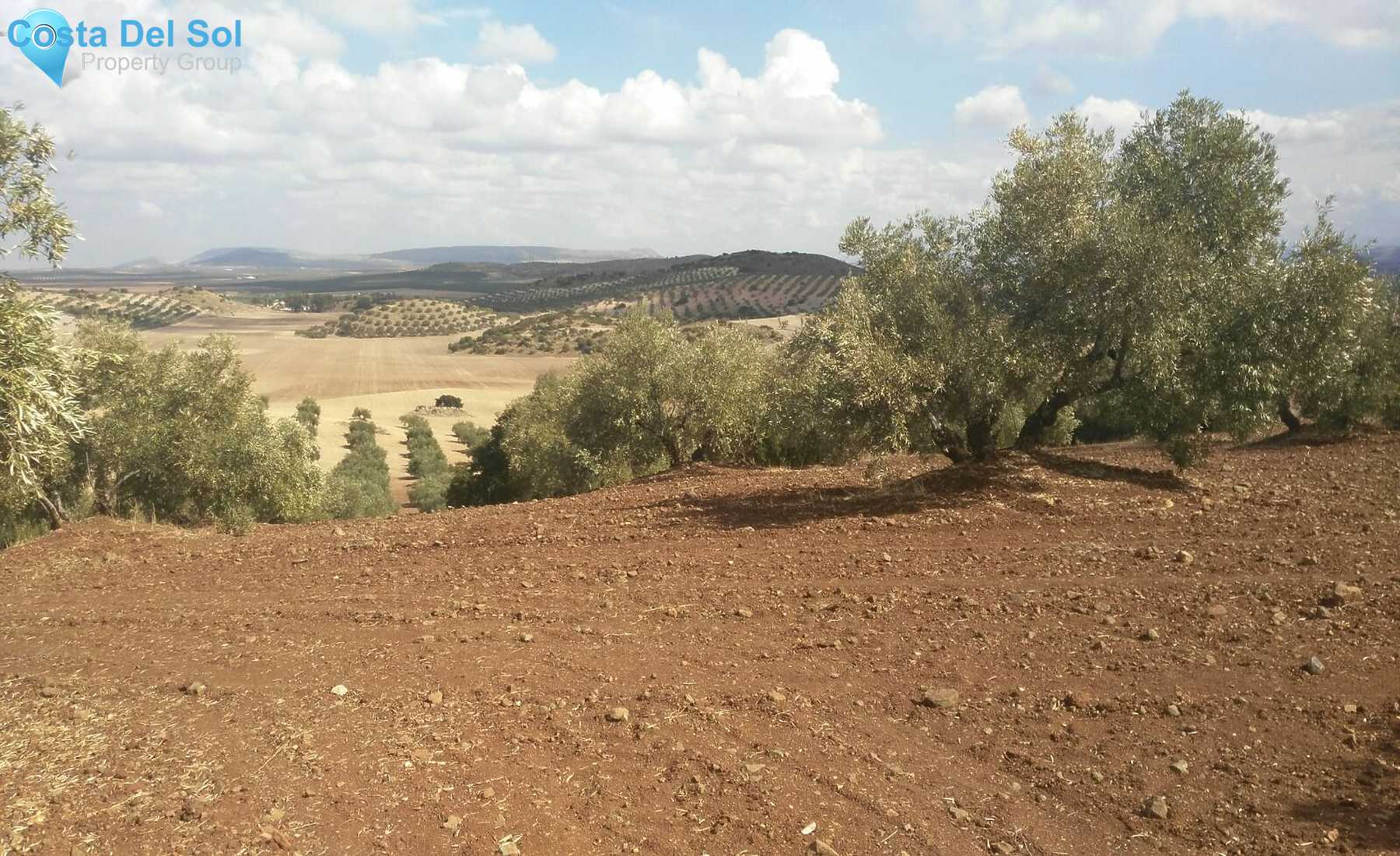 Finca - Cortijo in Antequera-1232193