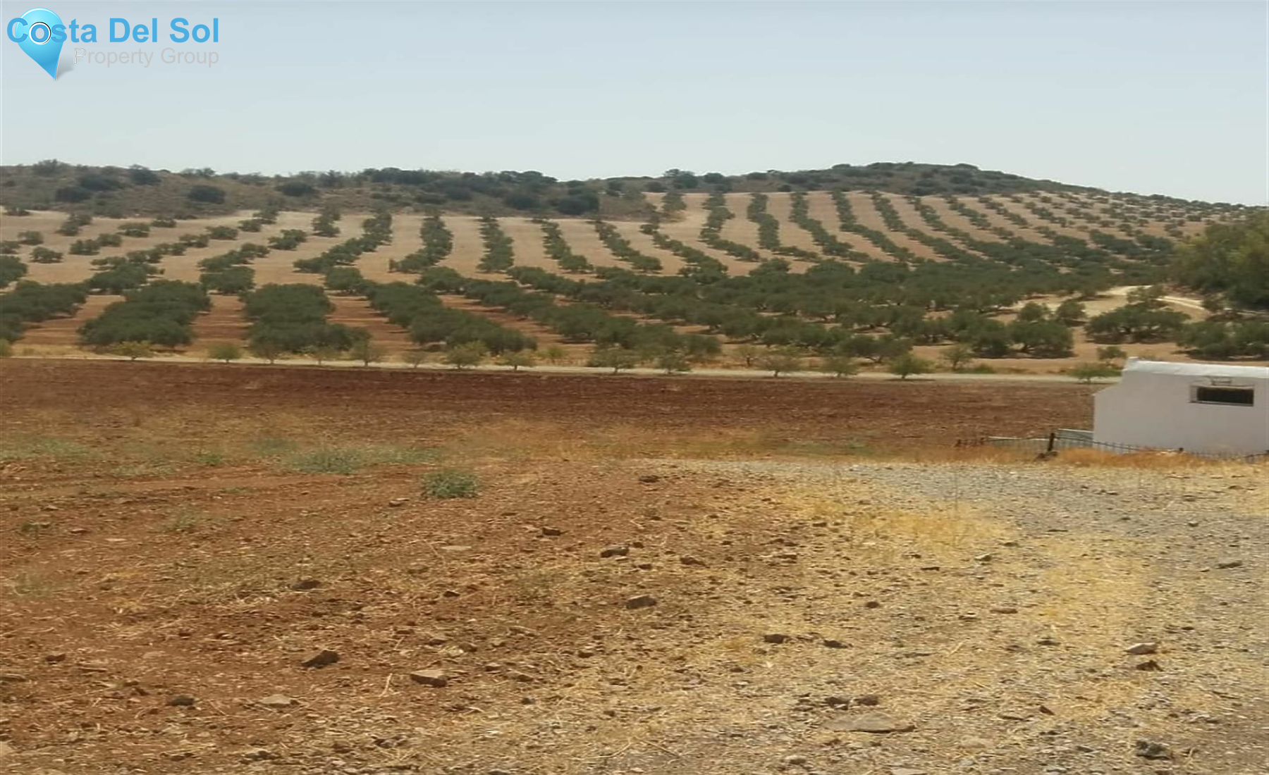 Finca - Cortijo in Antequera-1232195