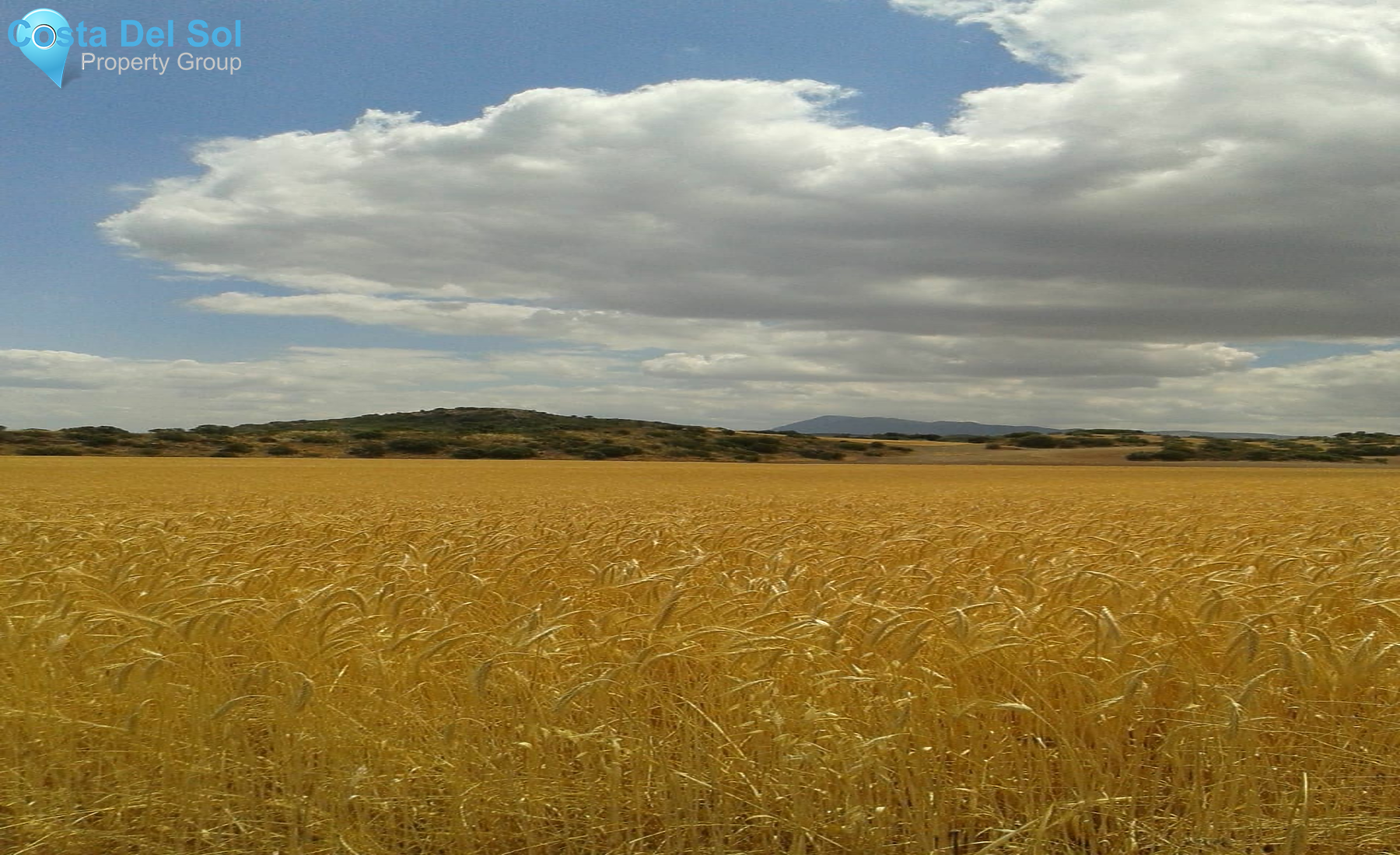 Finca - Cortijo in Antequera-1232196