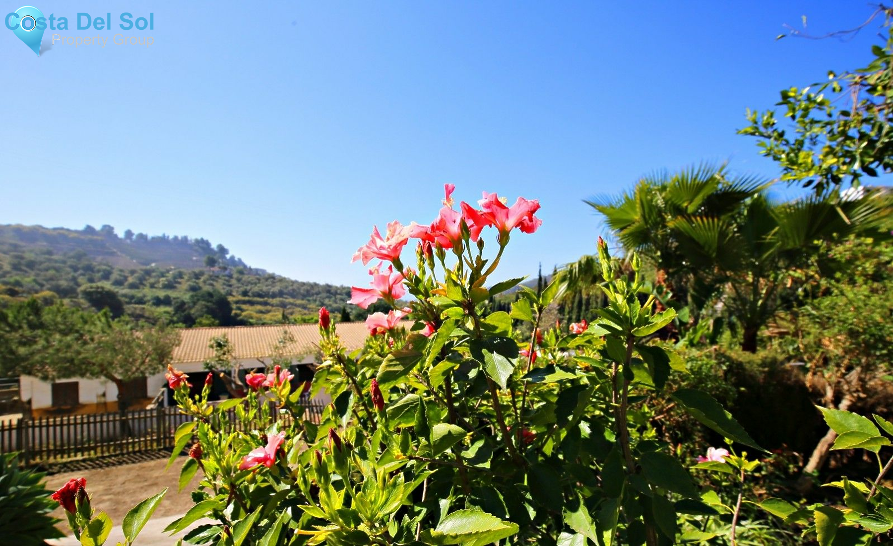 Semi-Detached House in Frigiliana-1518209