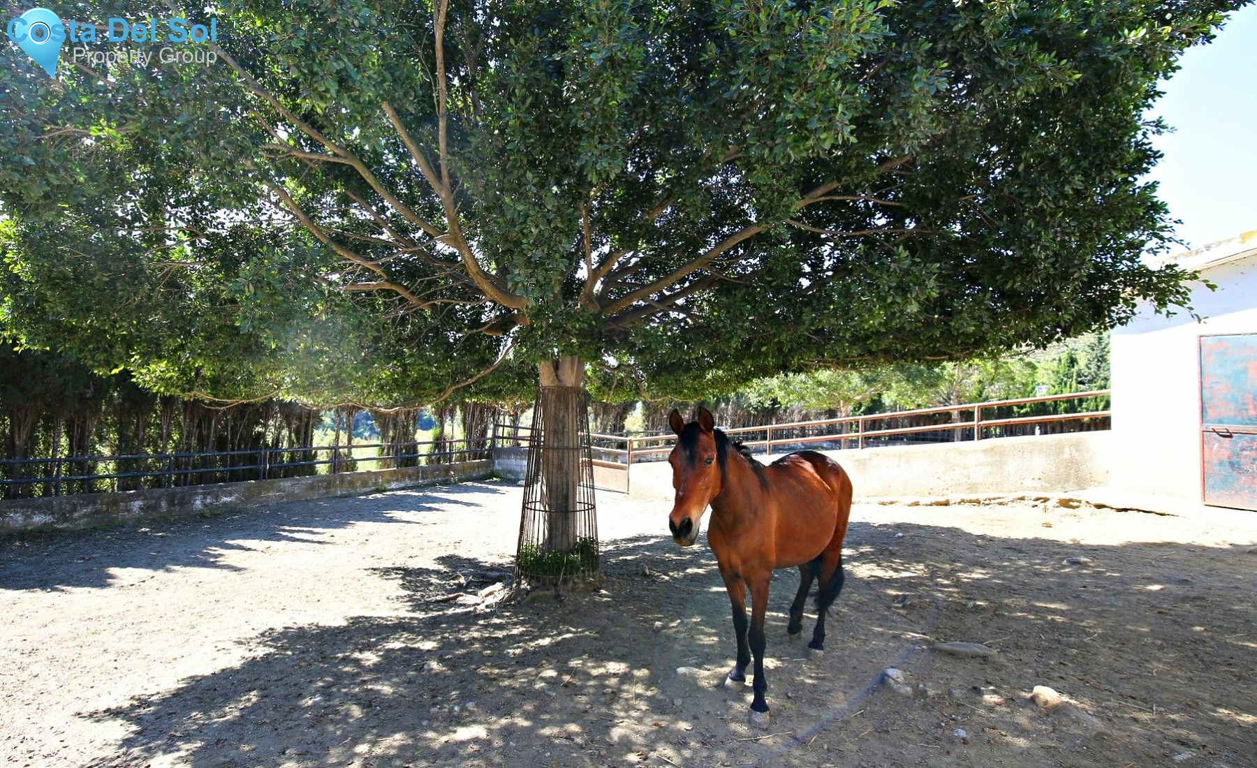 Semi-Detached House in Frigiliana-1518210