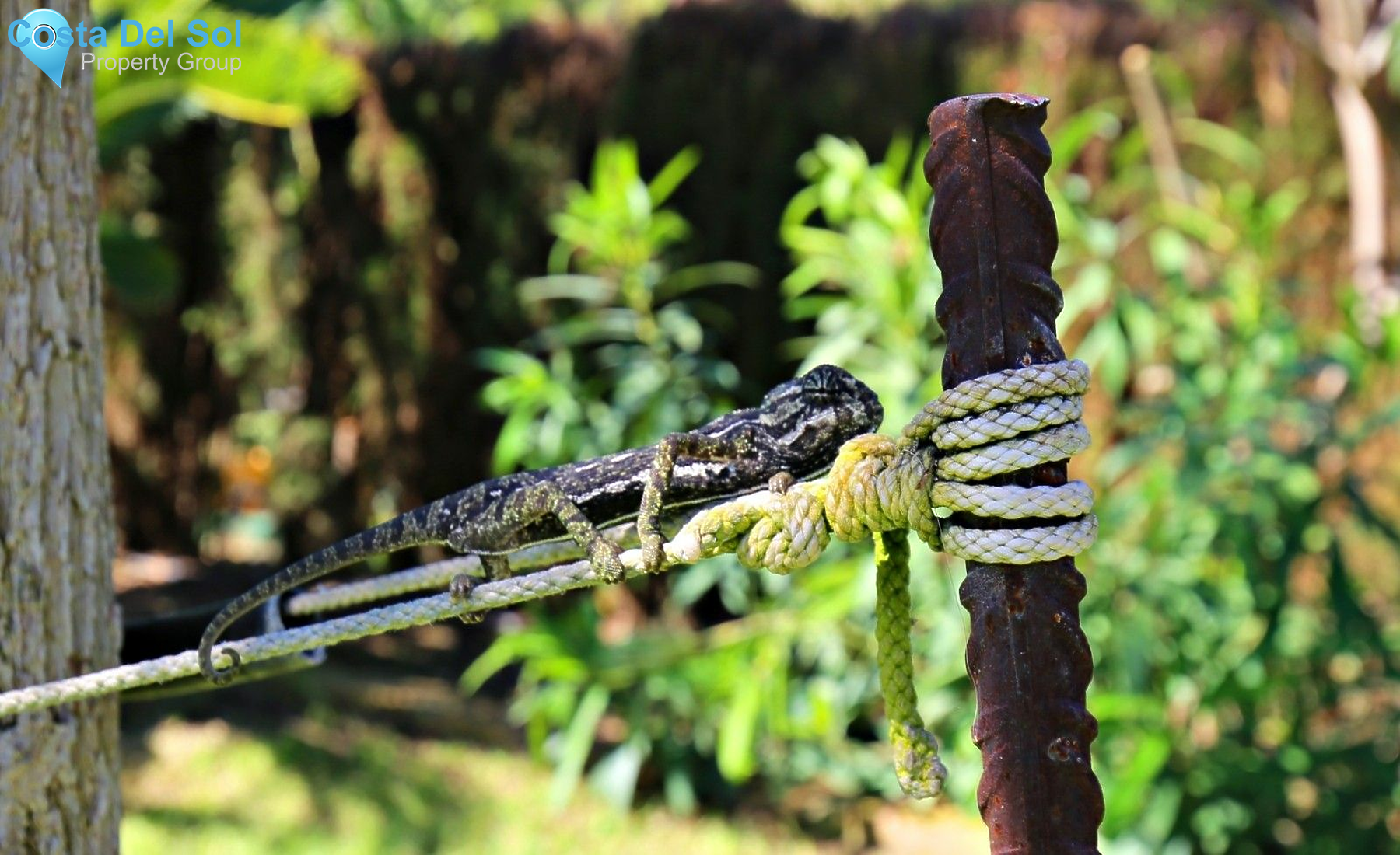 Semi-Detached House in Frigiliana-1518213