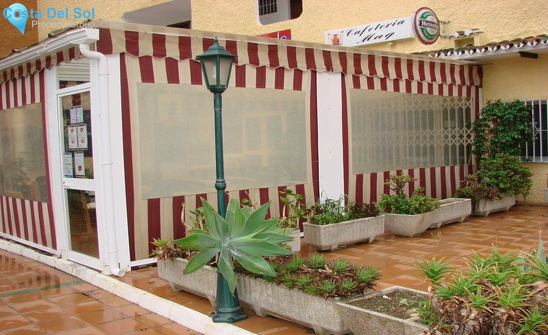 Bar in Marbesa