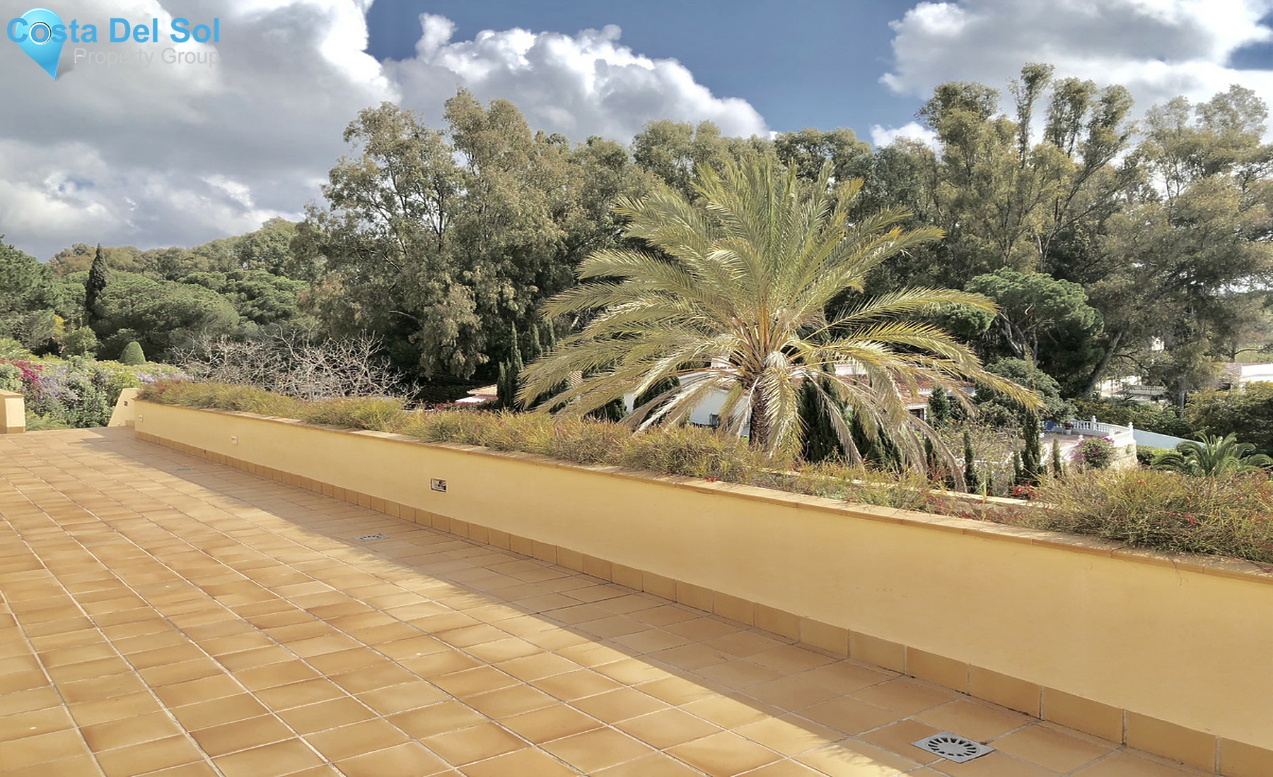 Commercial in Elviria-1331971