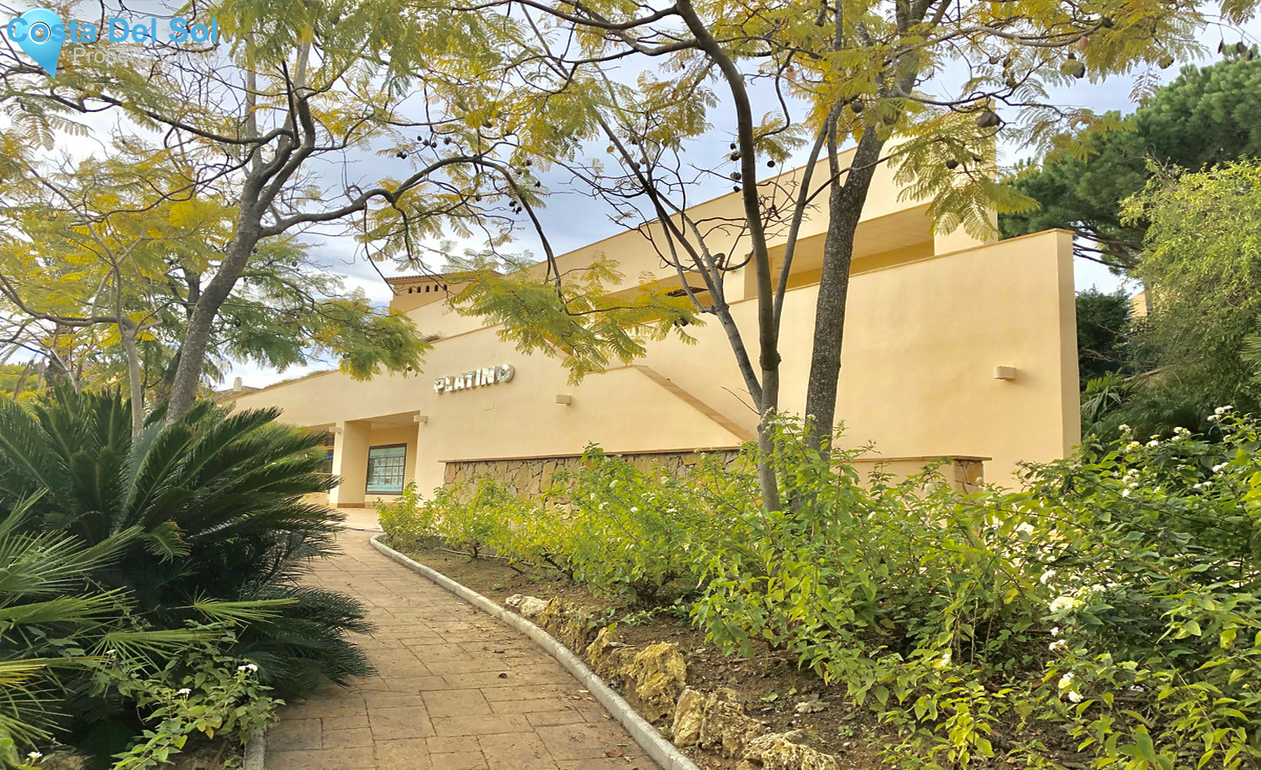 Commercial in Elviria-1331965