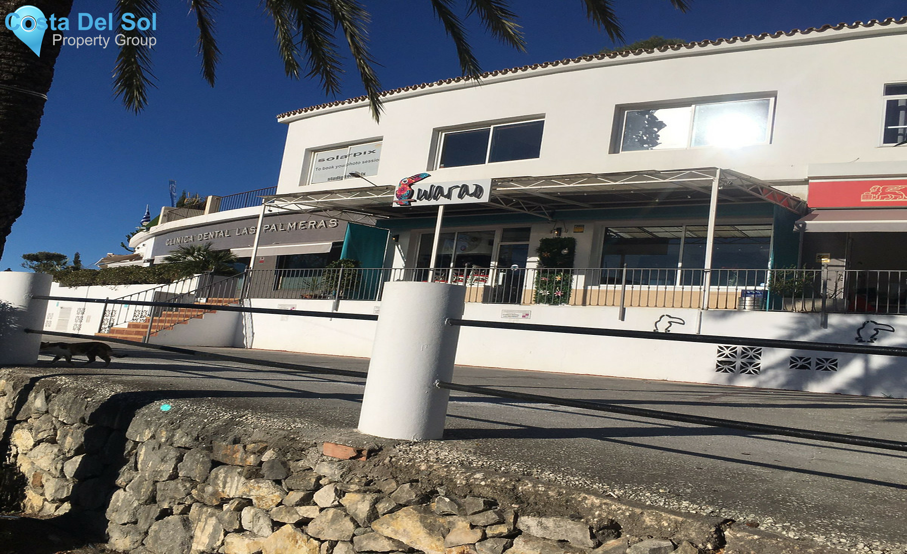 Commercial in Nueva Andalucía