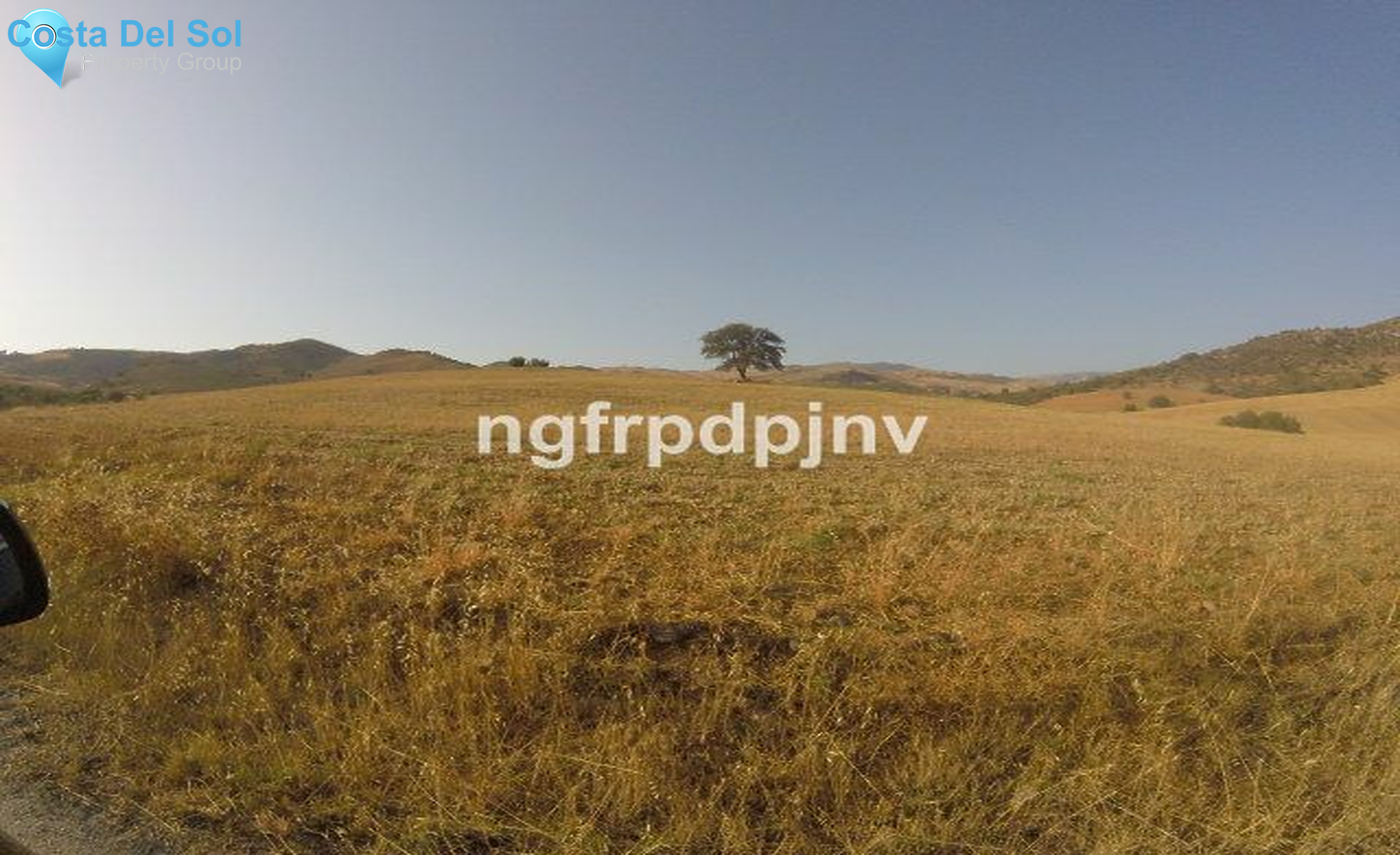 Commercial Plot in Alora