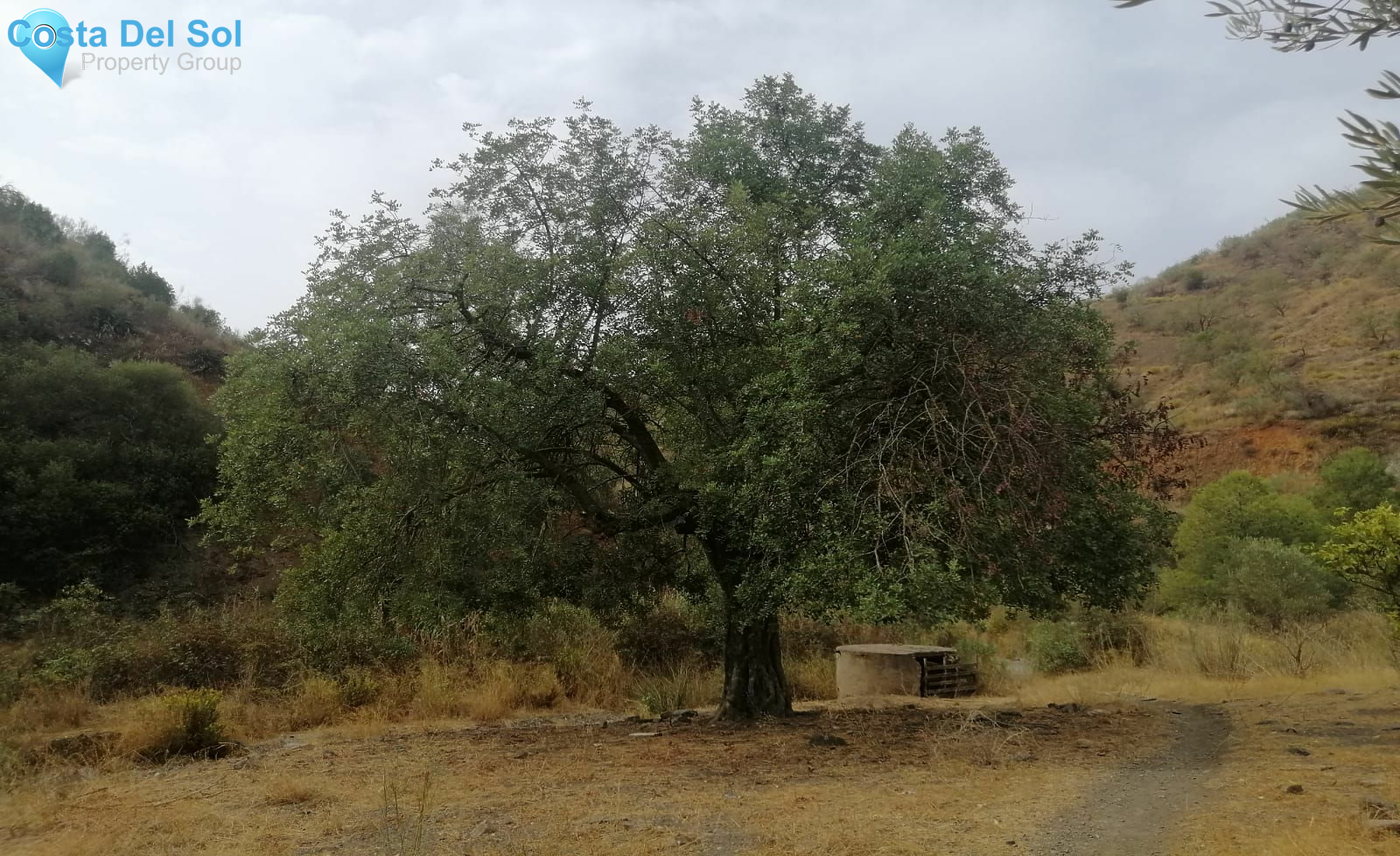 Commercial Plot in Cártama-1495159