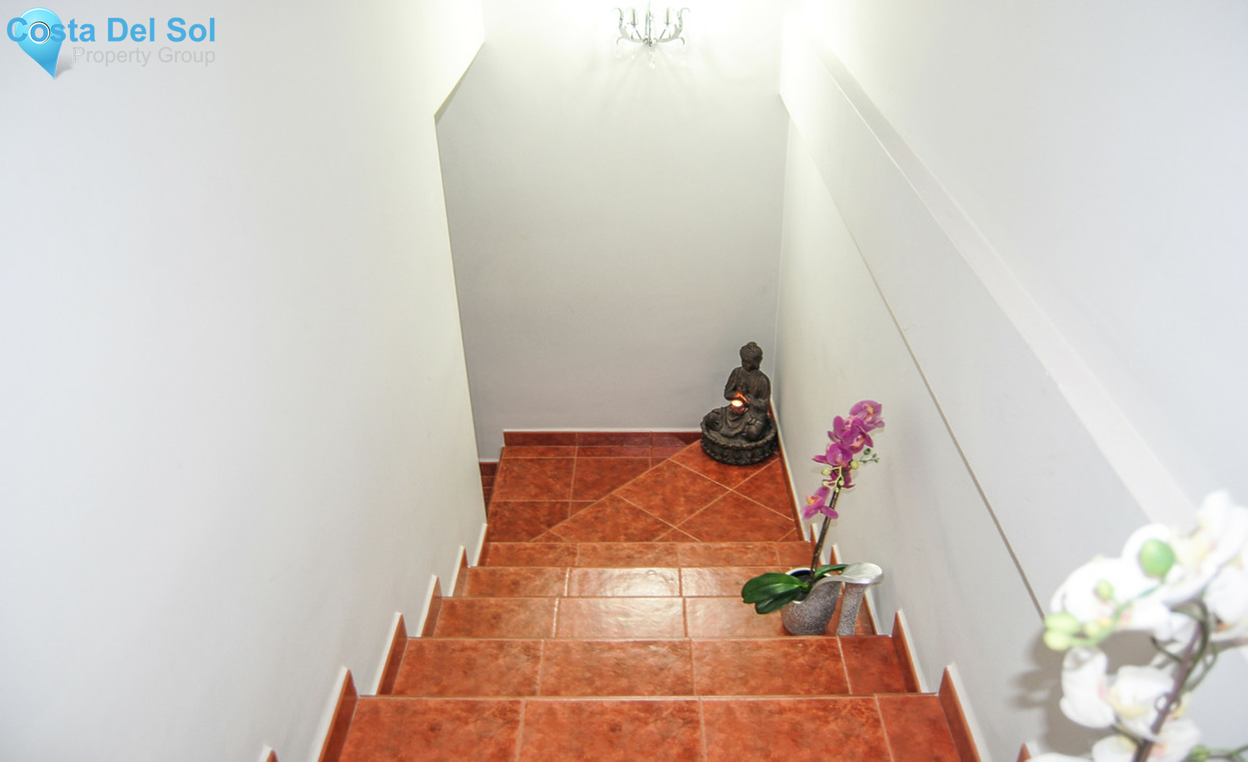 Commercial Premises in San Pedro de Alcántara-700853