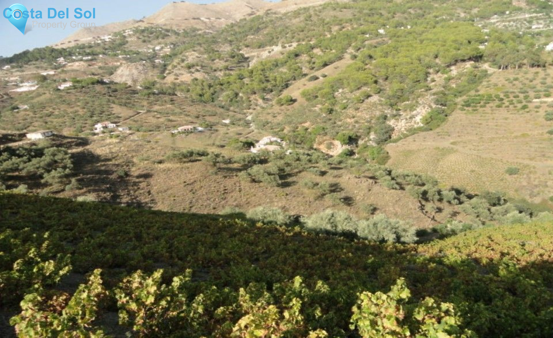 Finca - Cortijo in Cómpeta-1230189