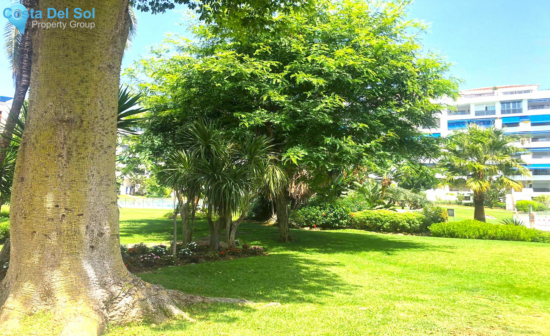 Ground Floor Studio in Marbella-1429990