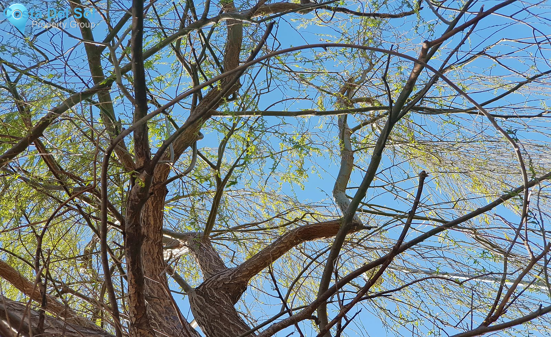 Hotel in Valle de Abdalajis-1208598