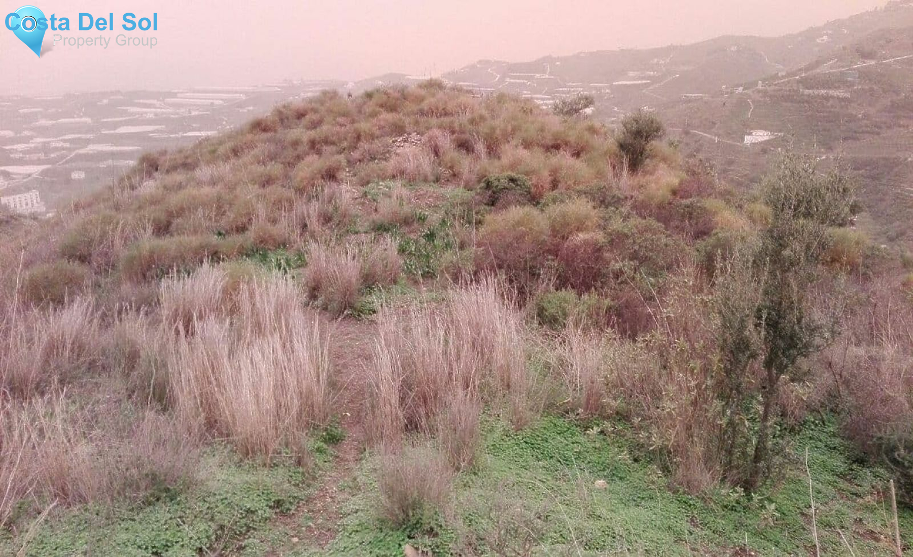 Land in Algarrobo-1518041