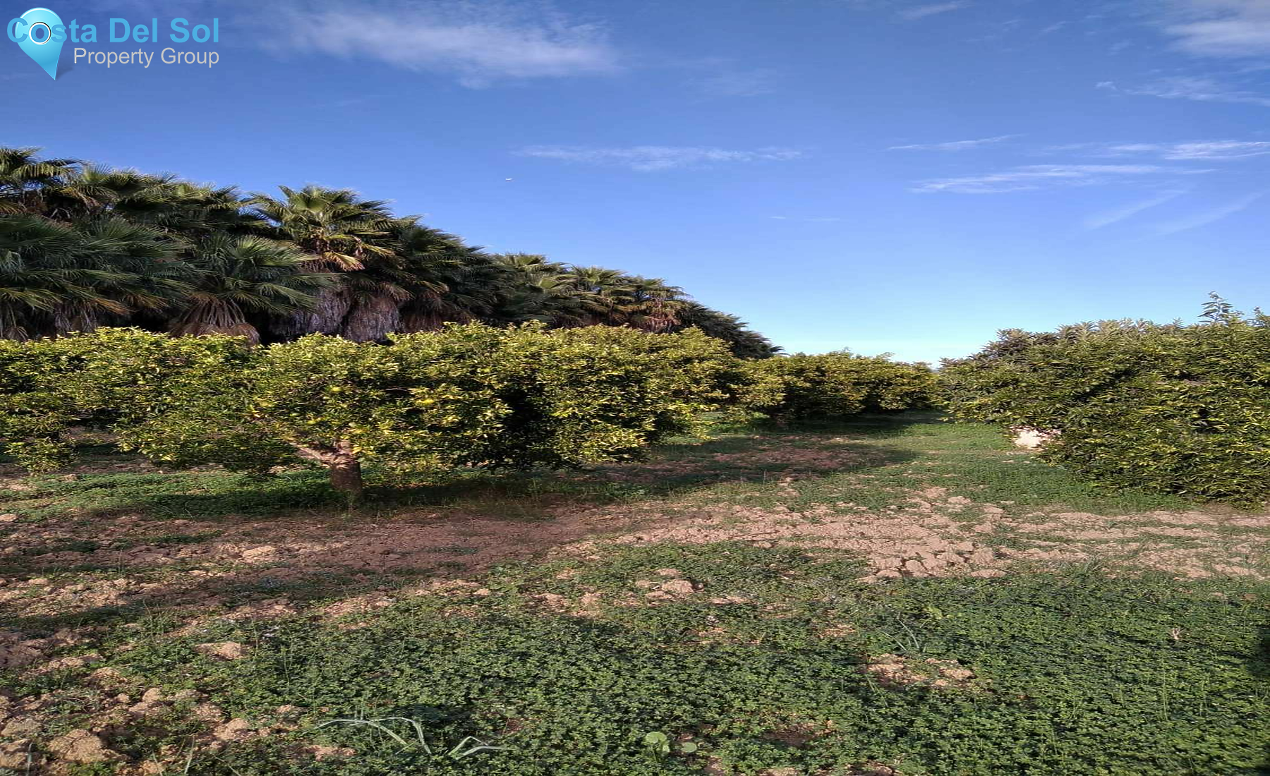 Land in Alhaurín de la Torre-1450148