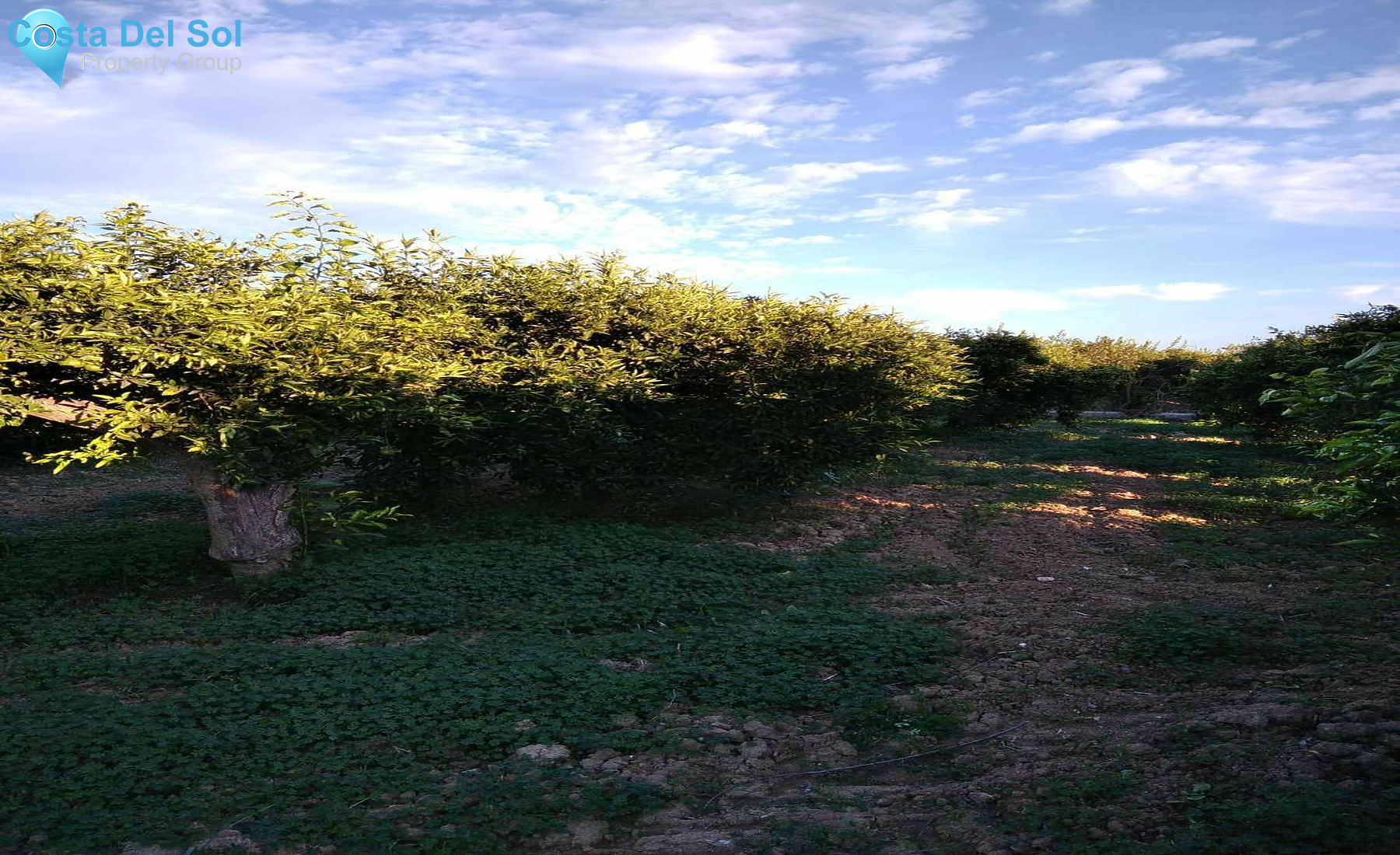 Land in Alhaurín de la Torre-1450152